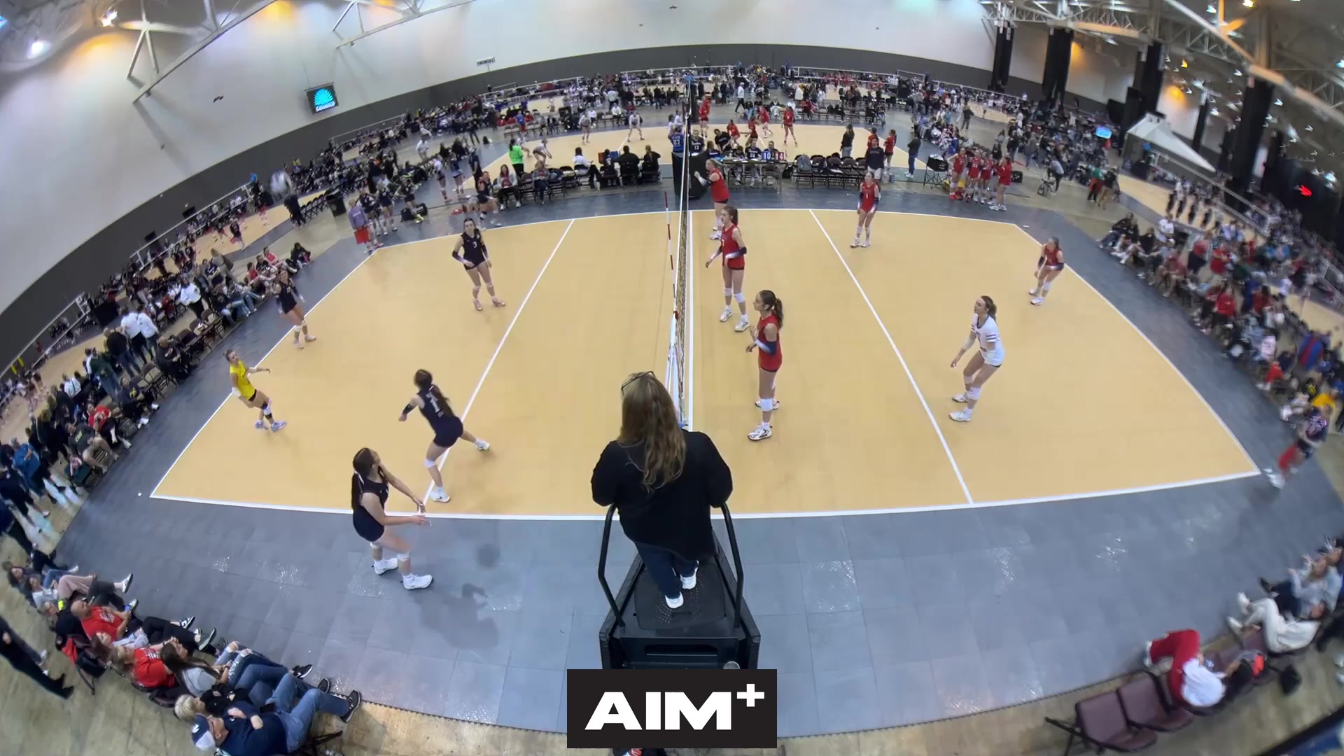block-assist