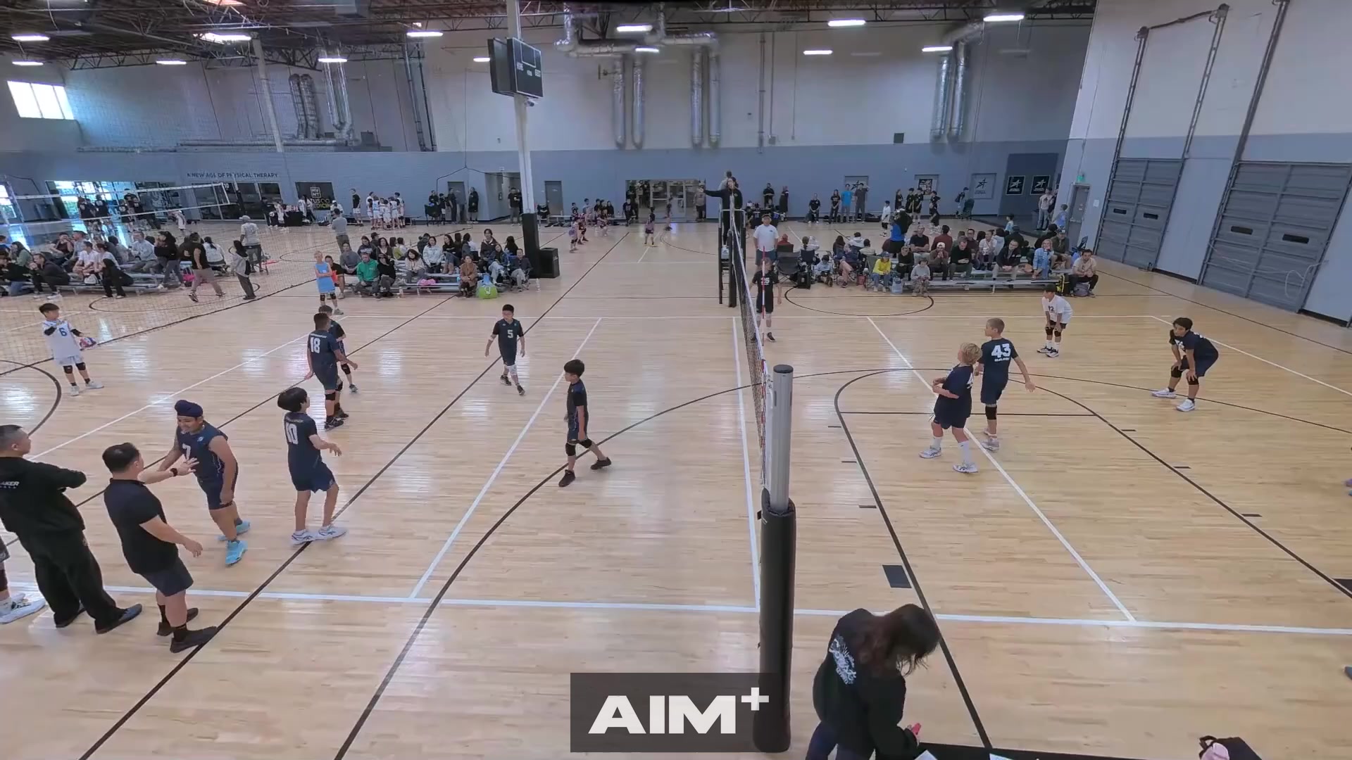 serve-ace