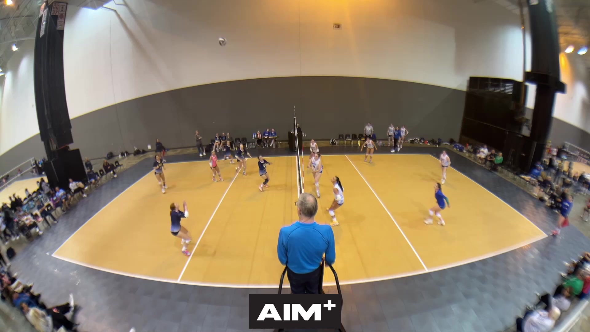 assist