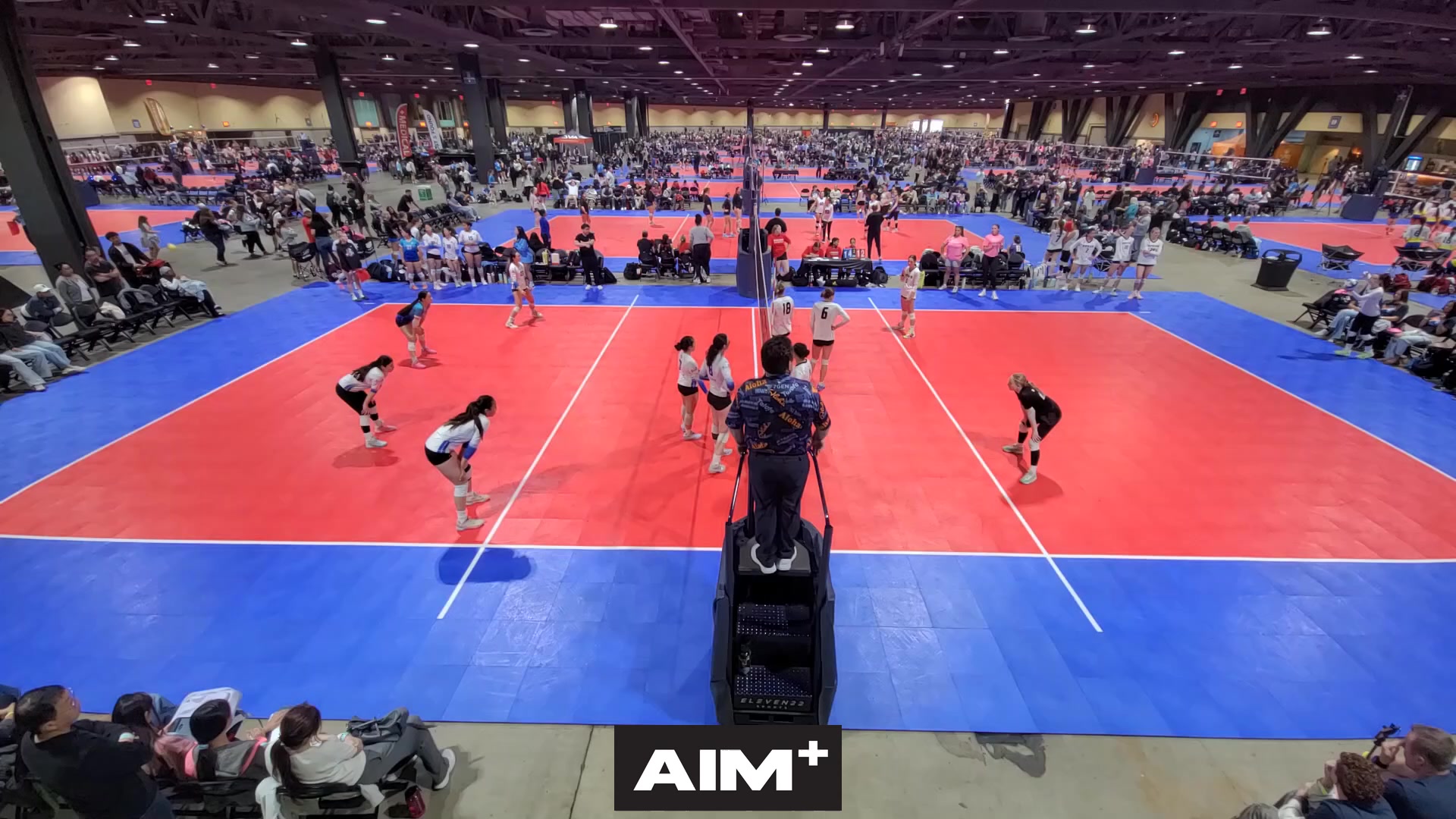 dig