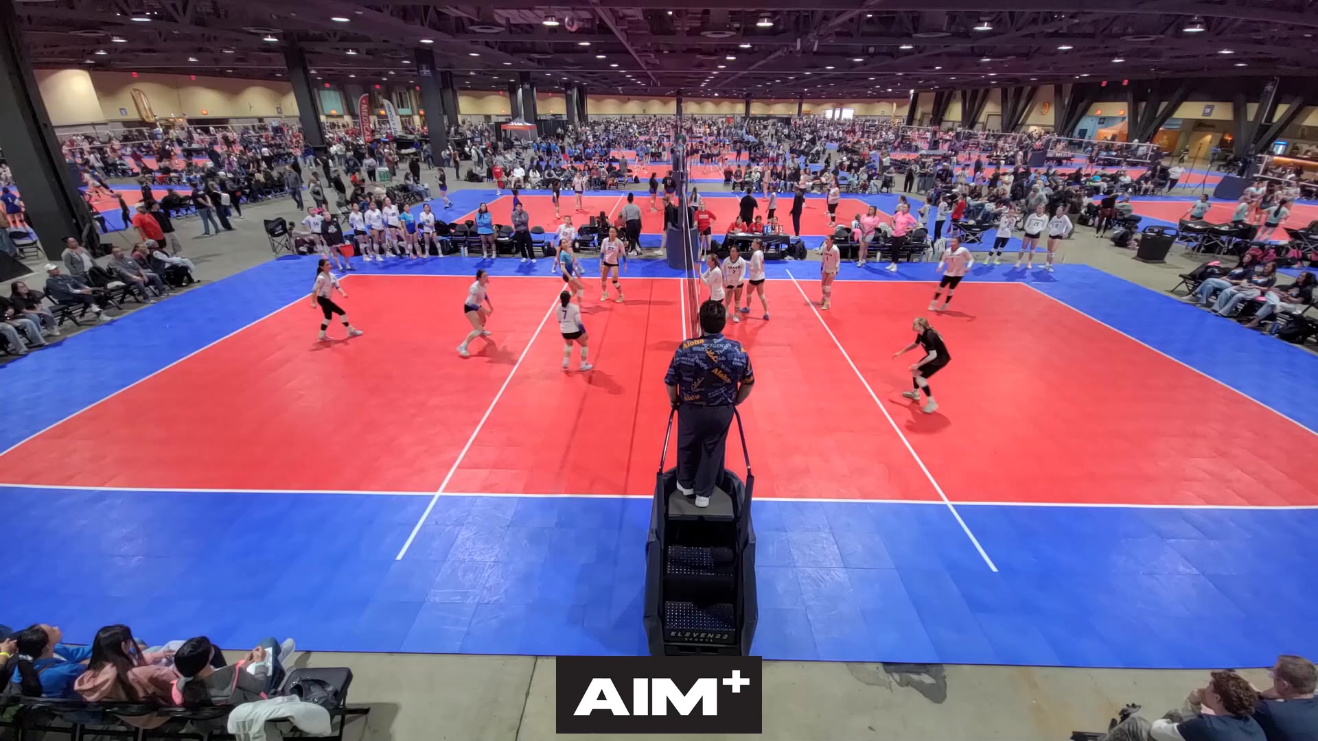 dig