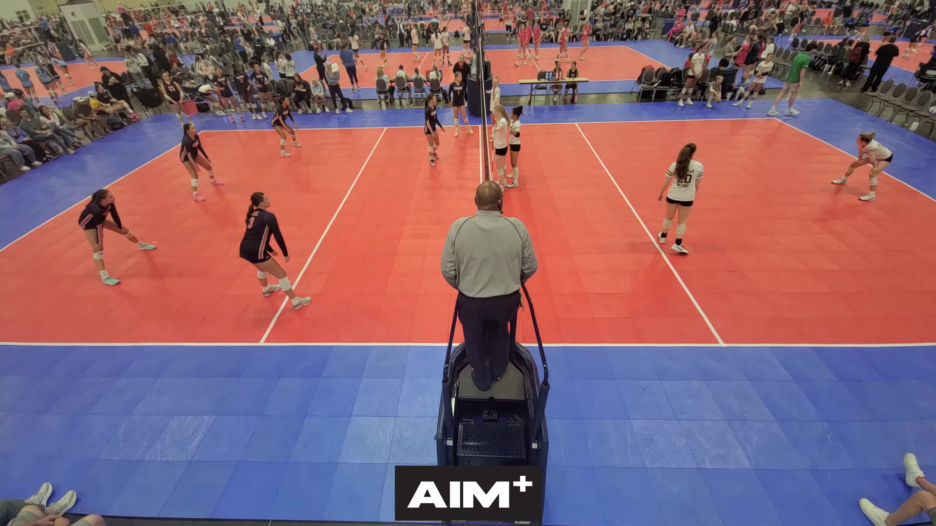 dig