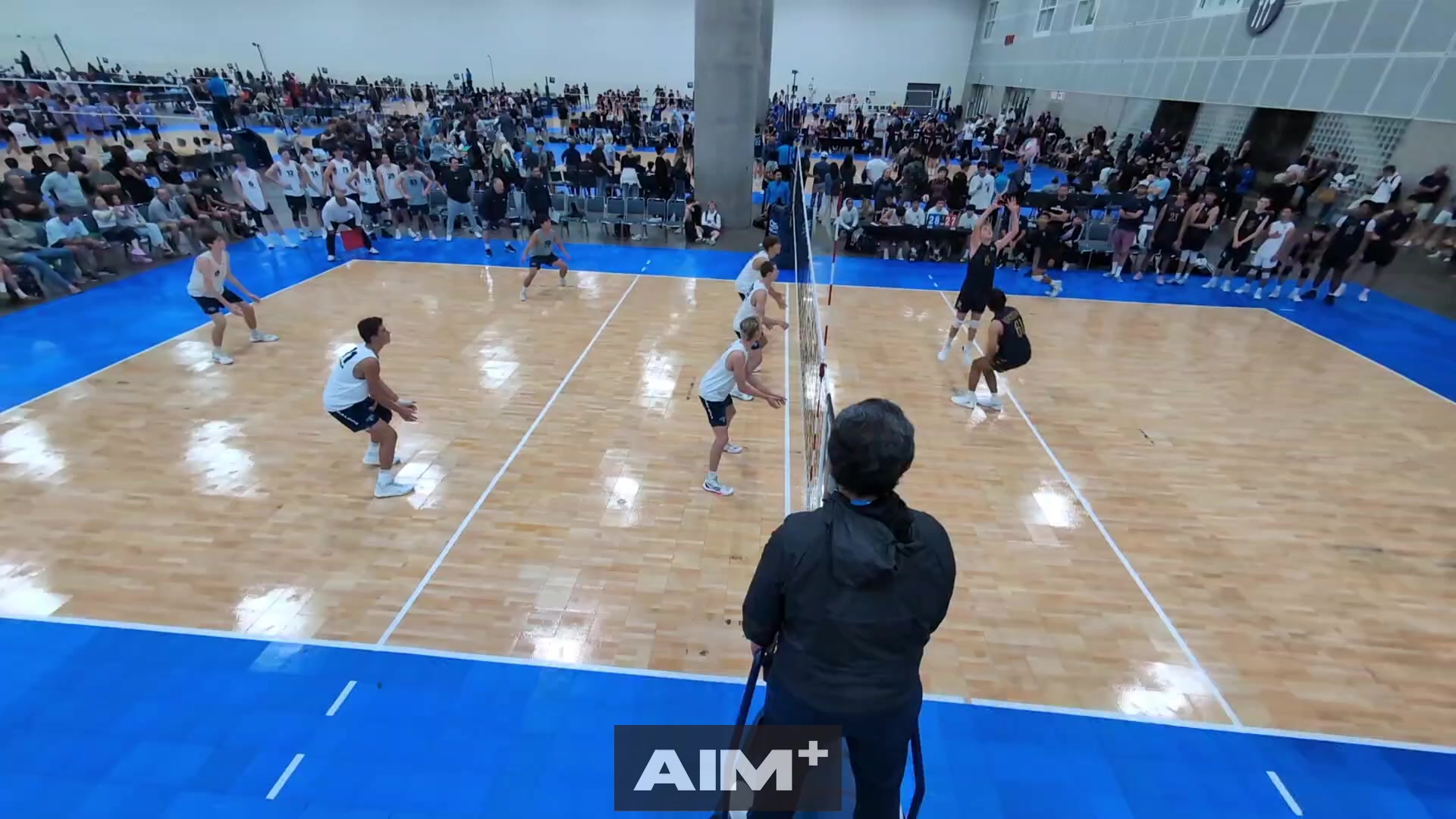assist