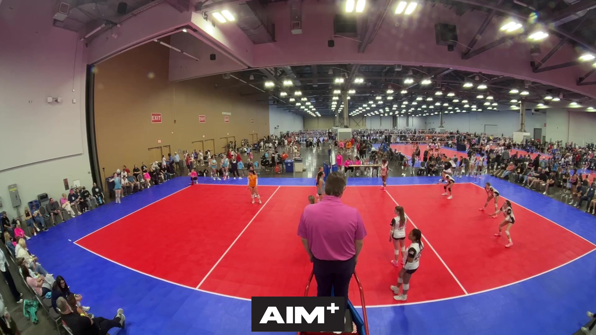 dig