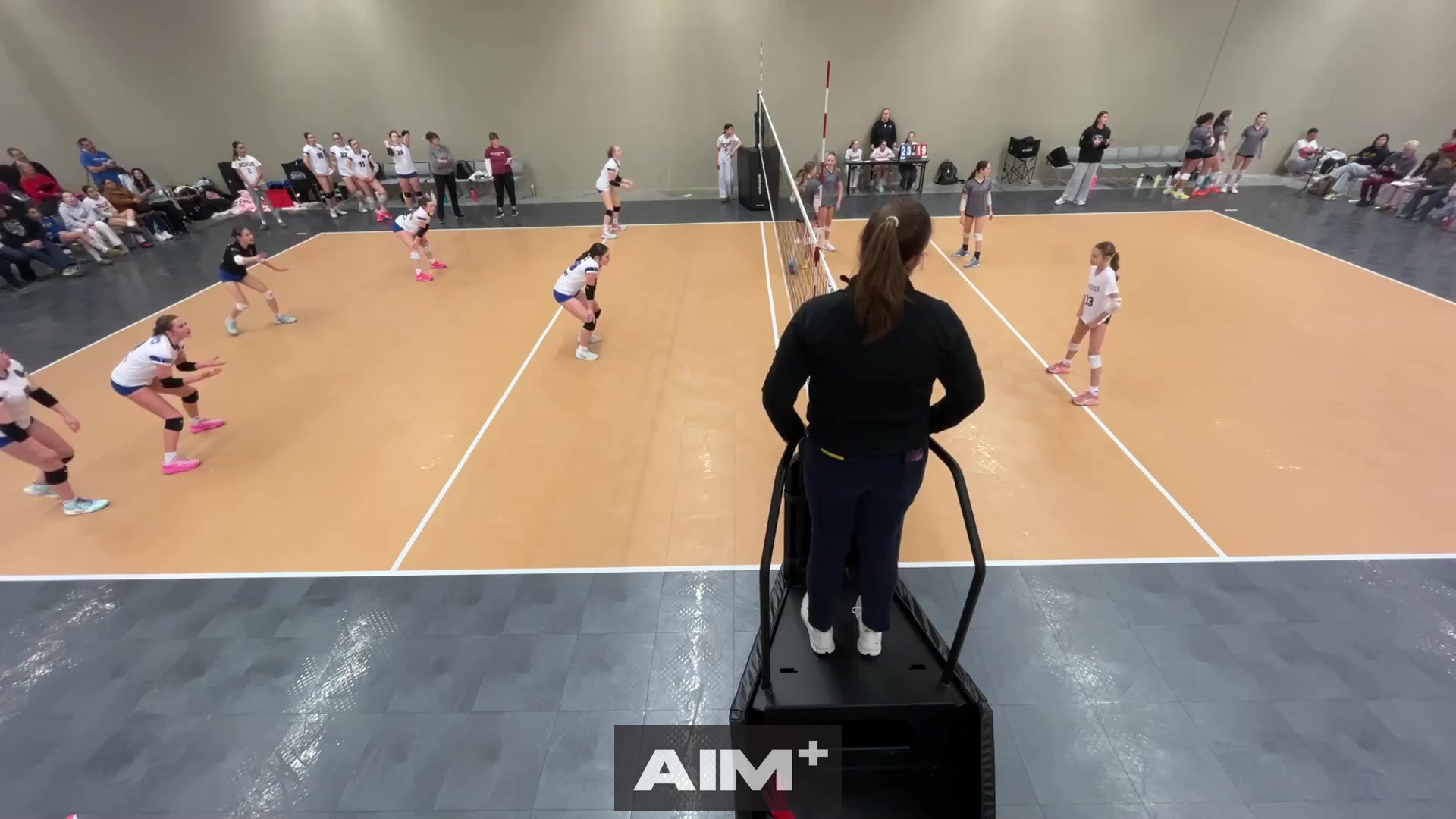 assist