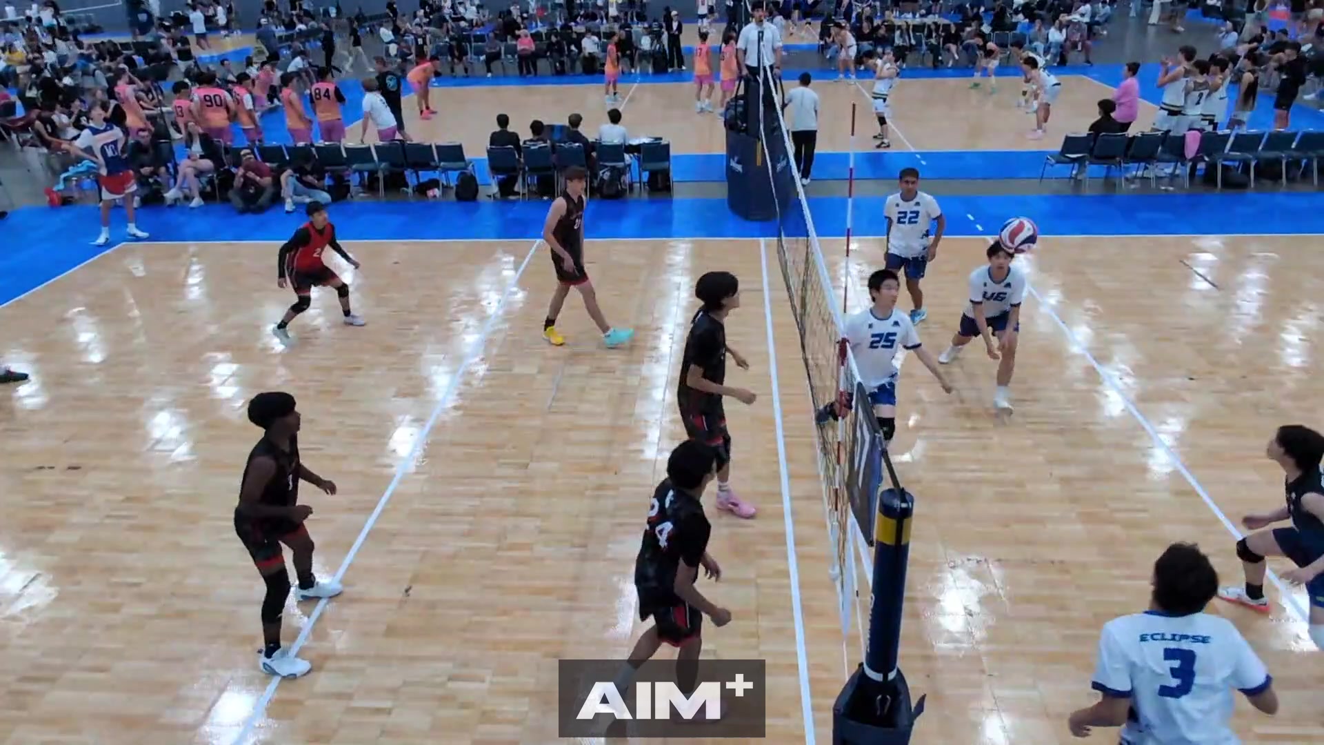 assist