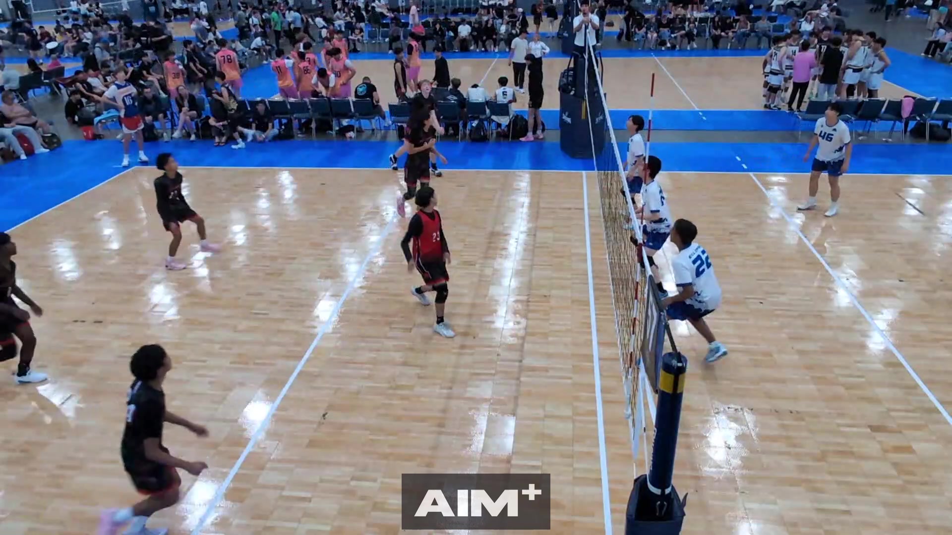 assist