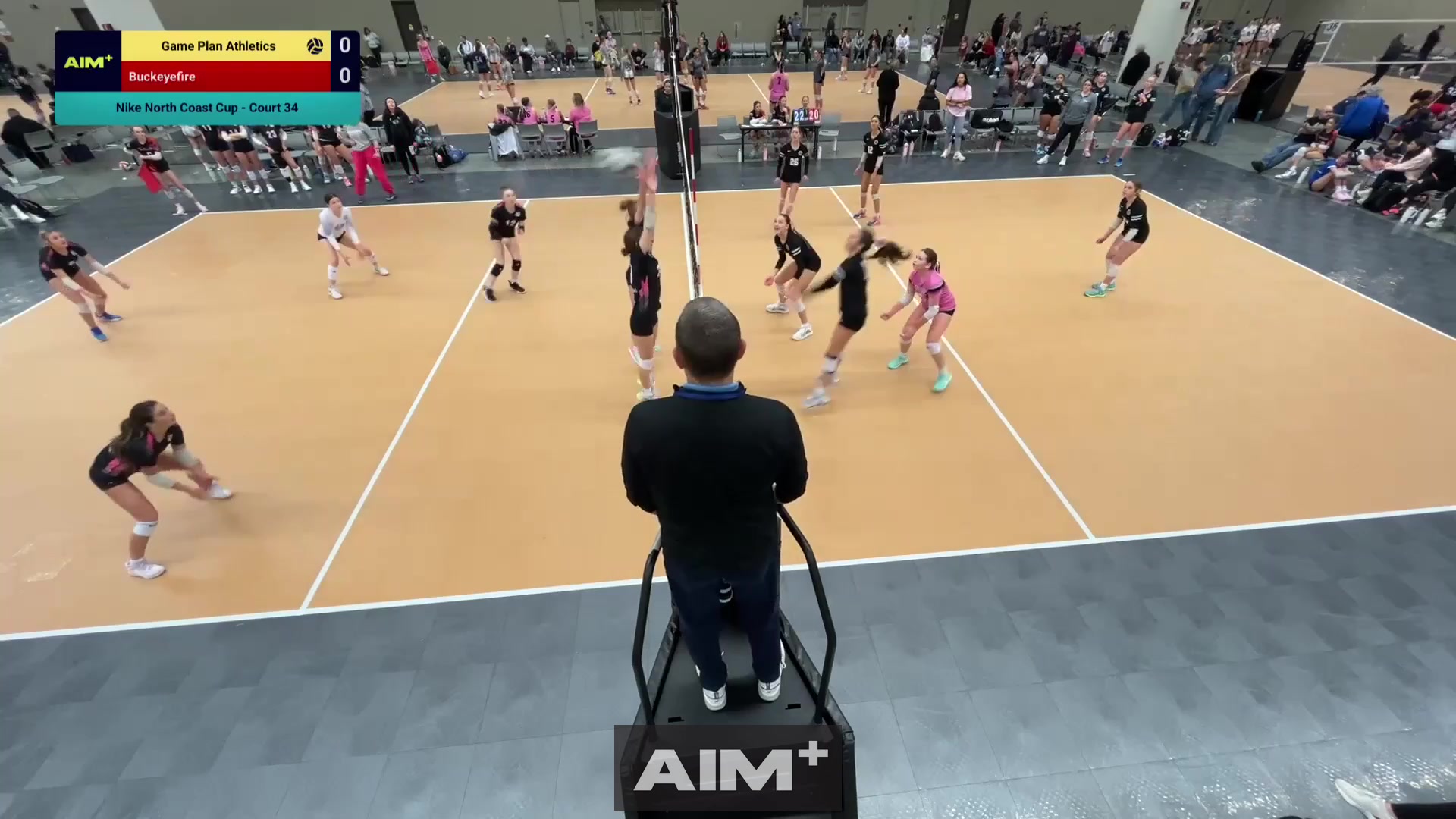 assist