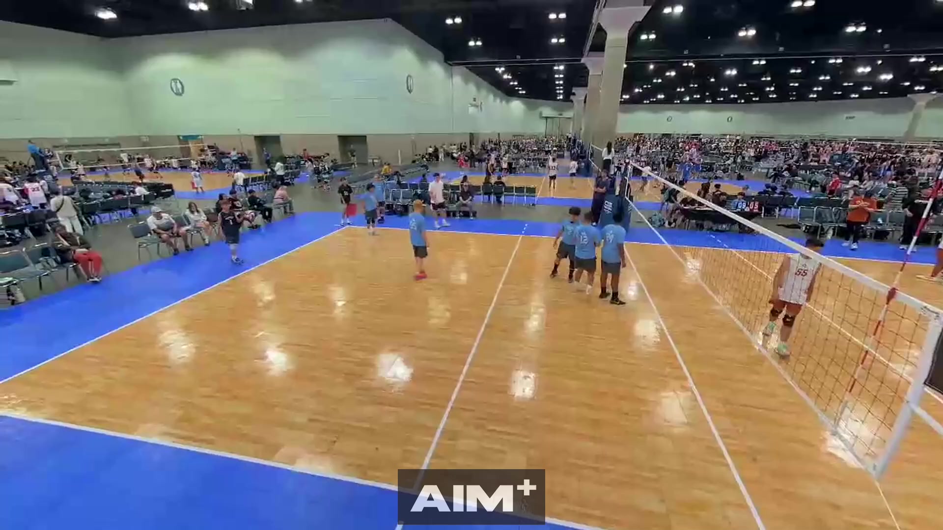 assist