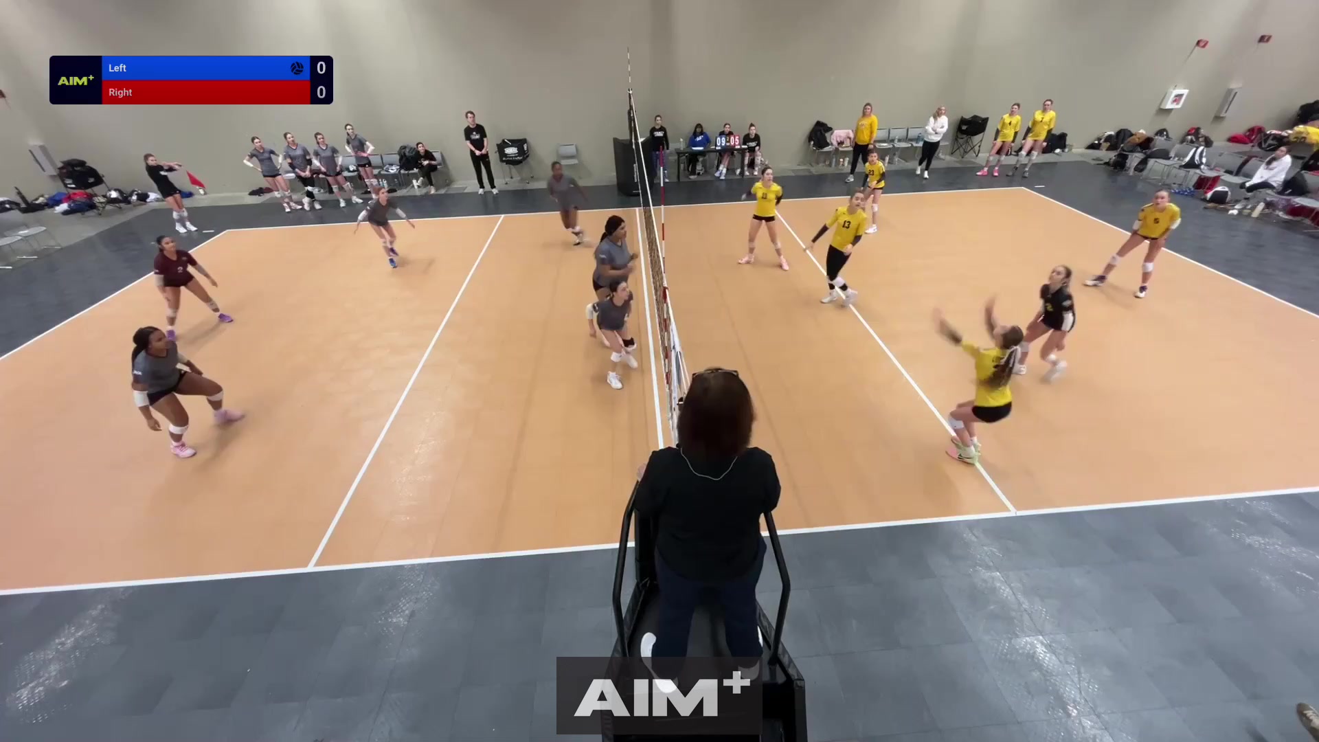 assist