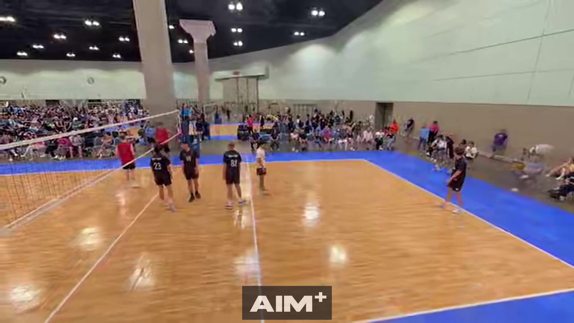 assist