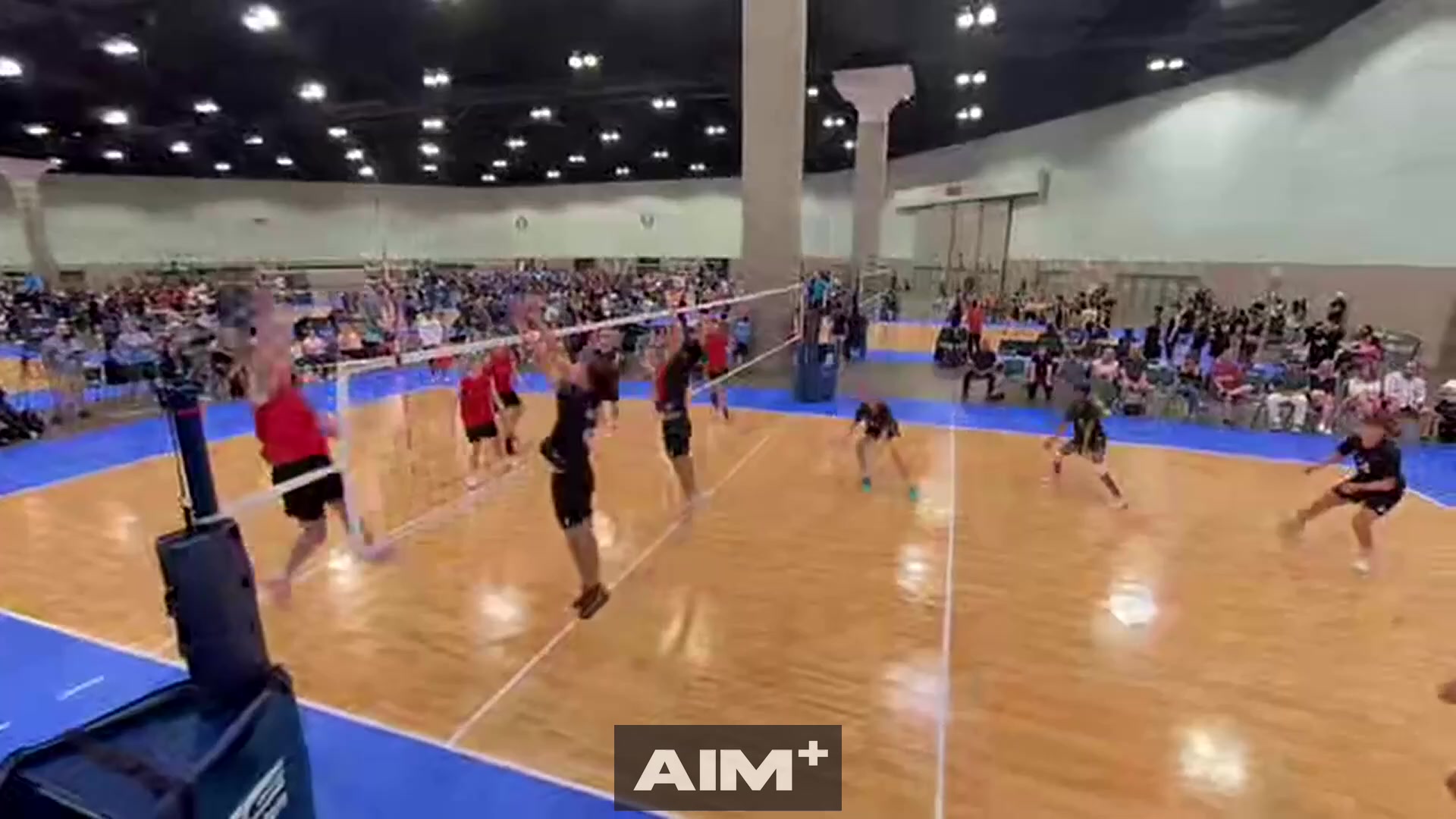 assist