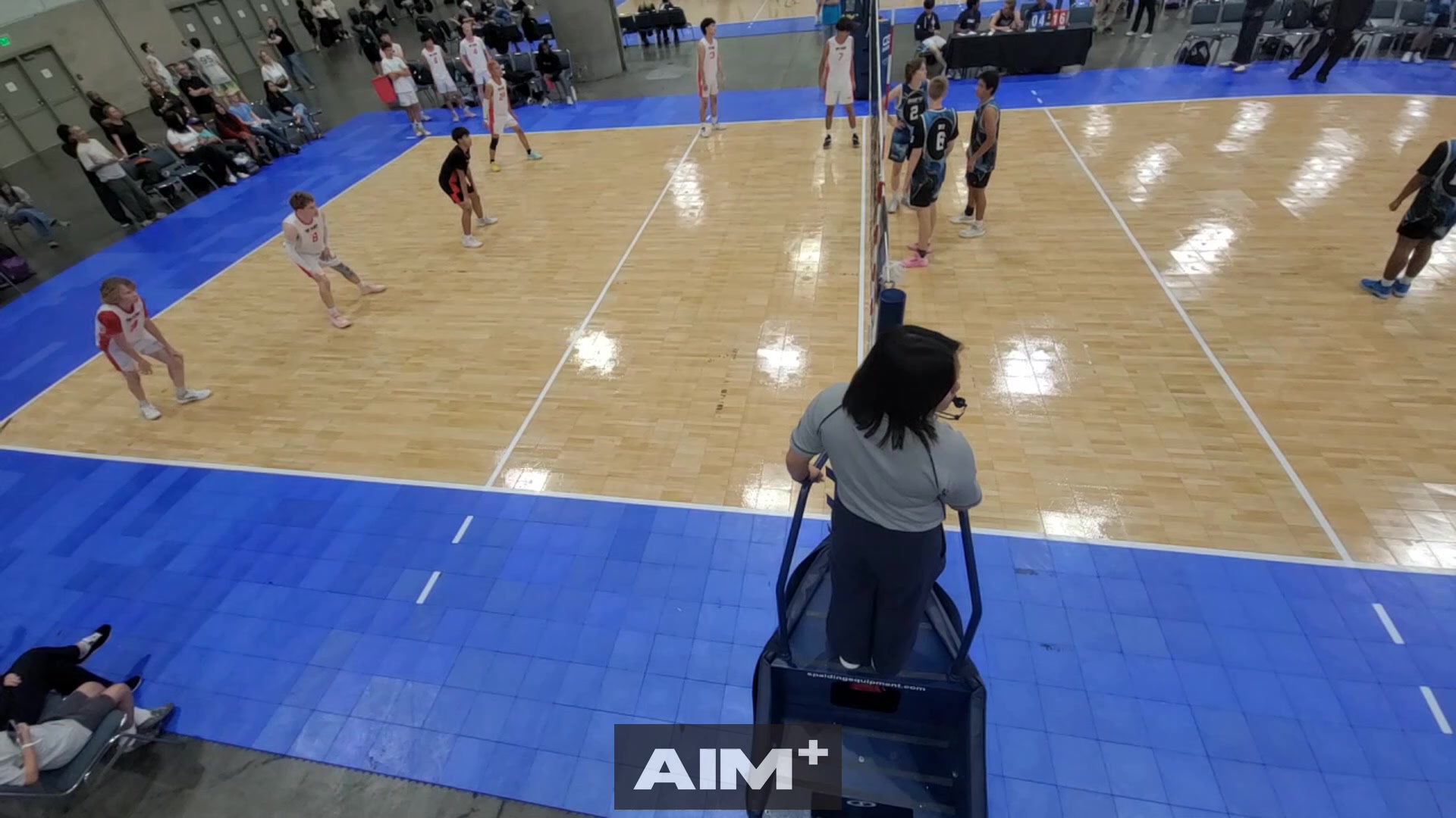 dig