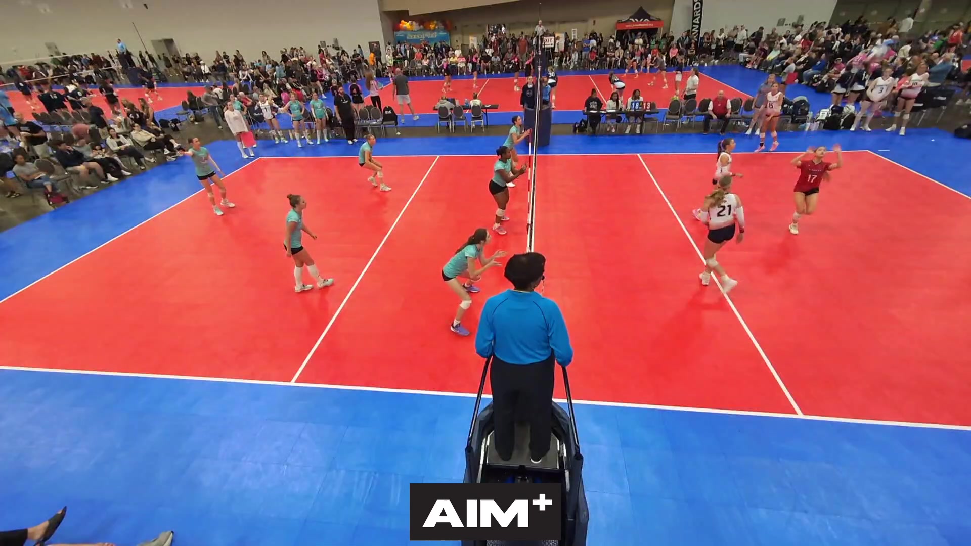 dig