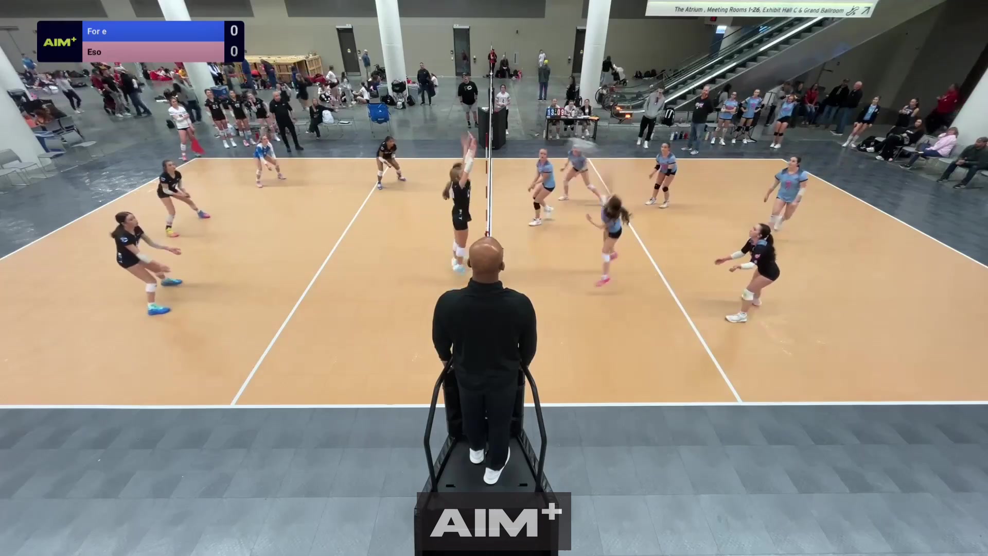 assist