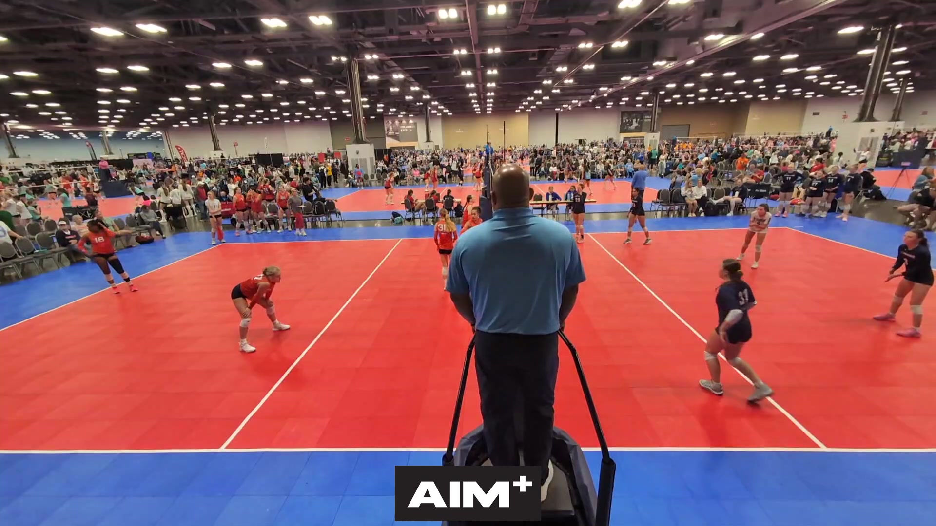dig
