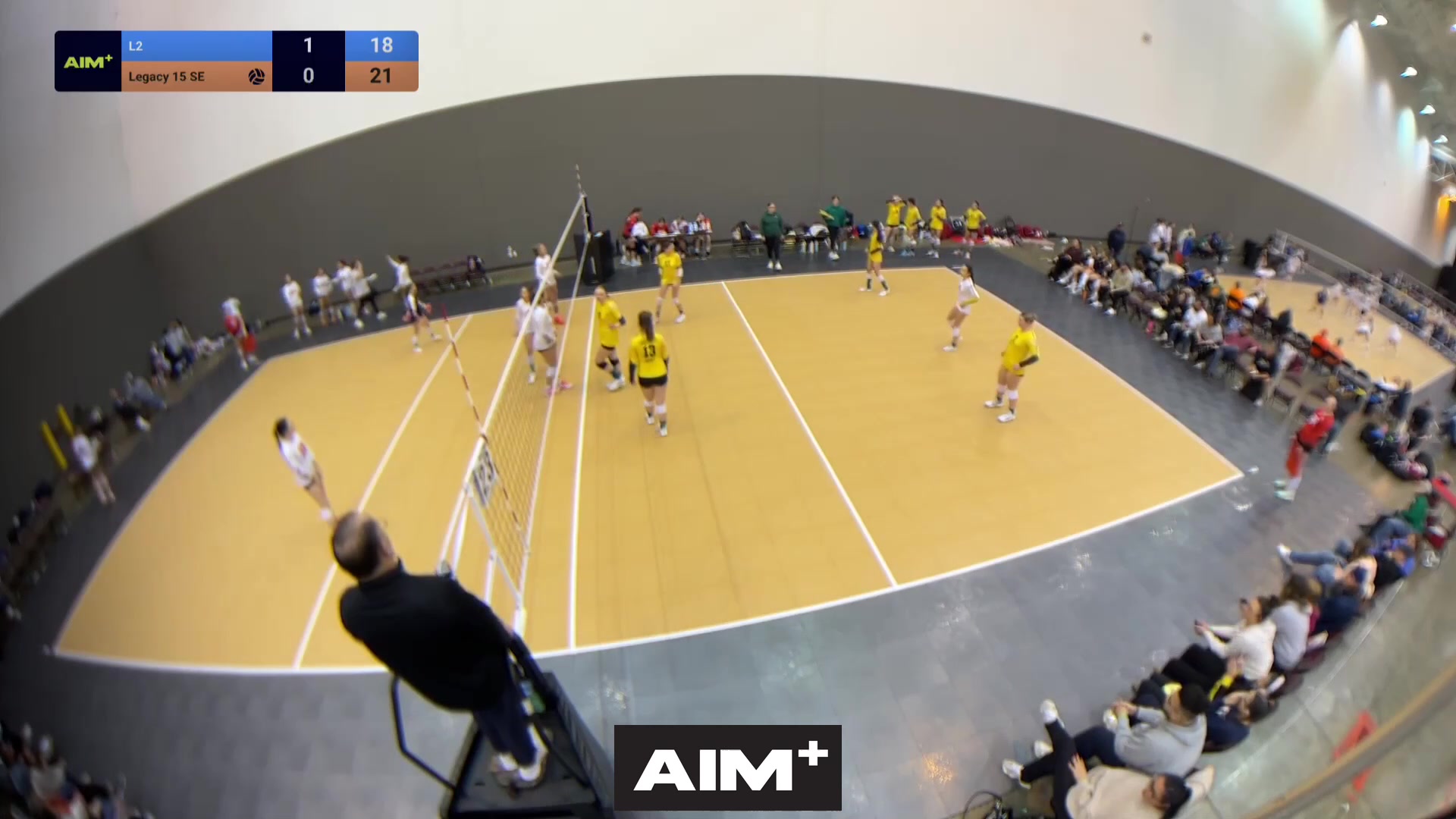 serve-ace