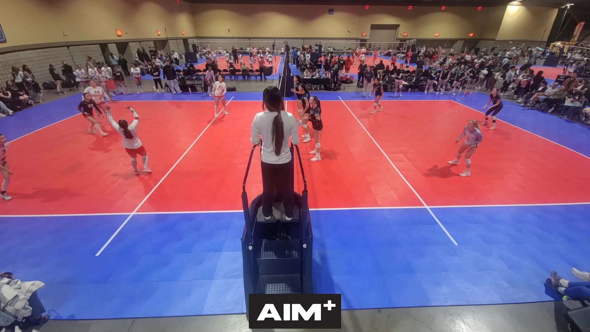 dig