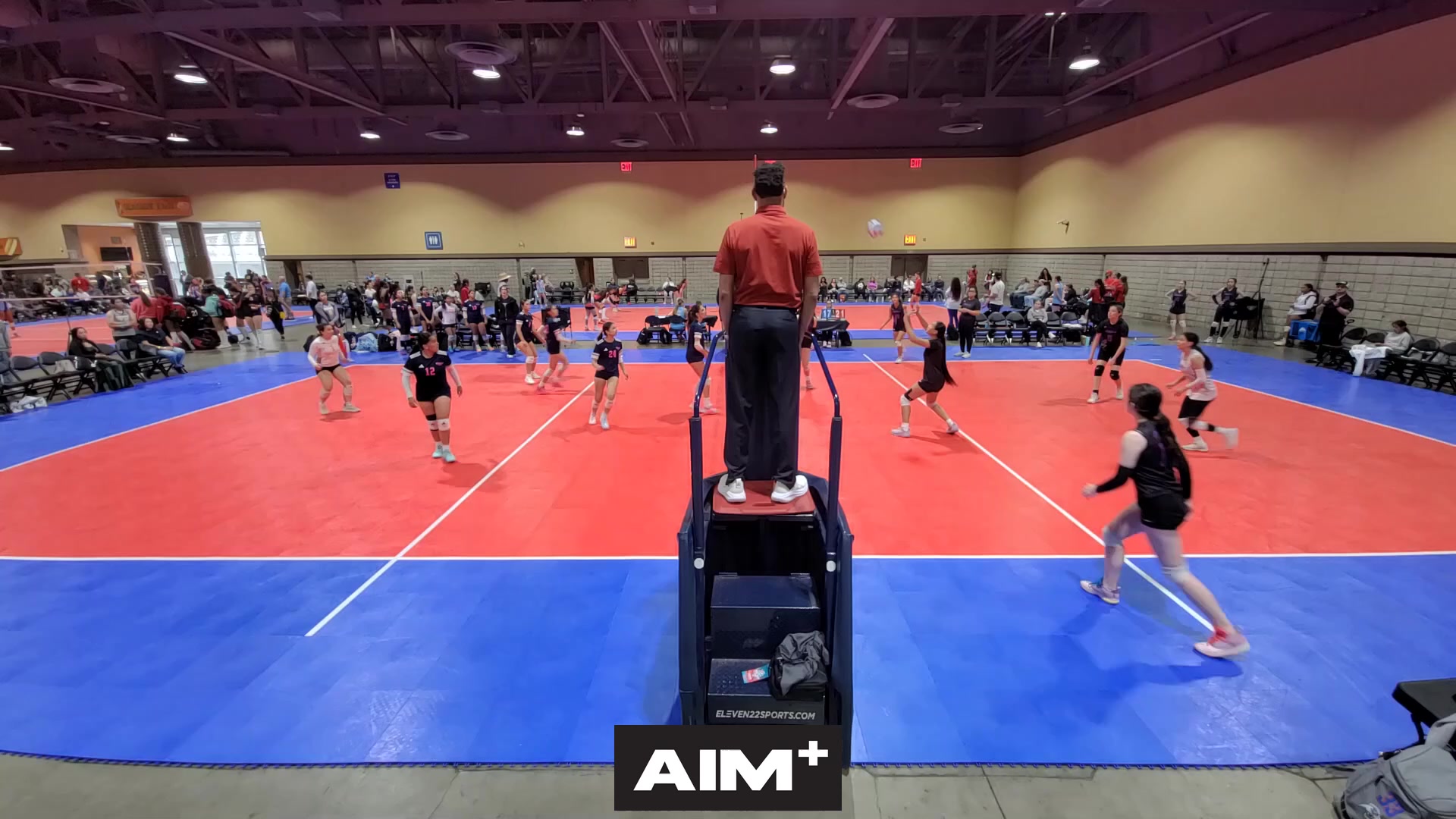 dig