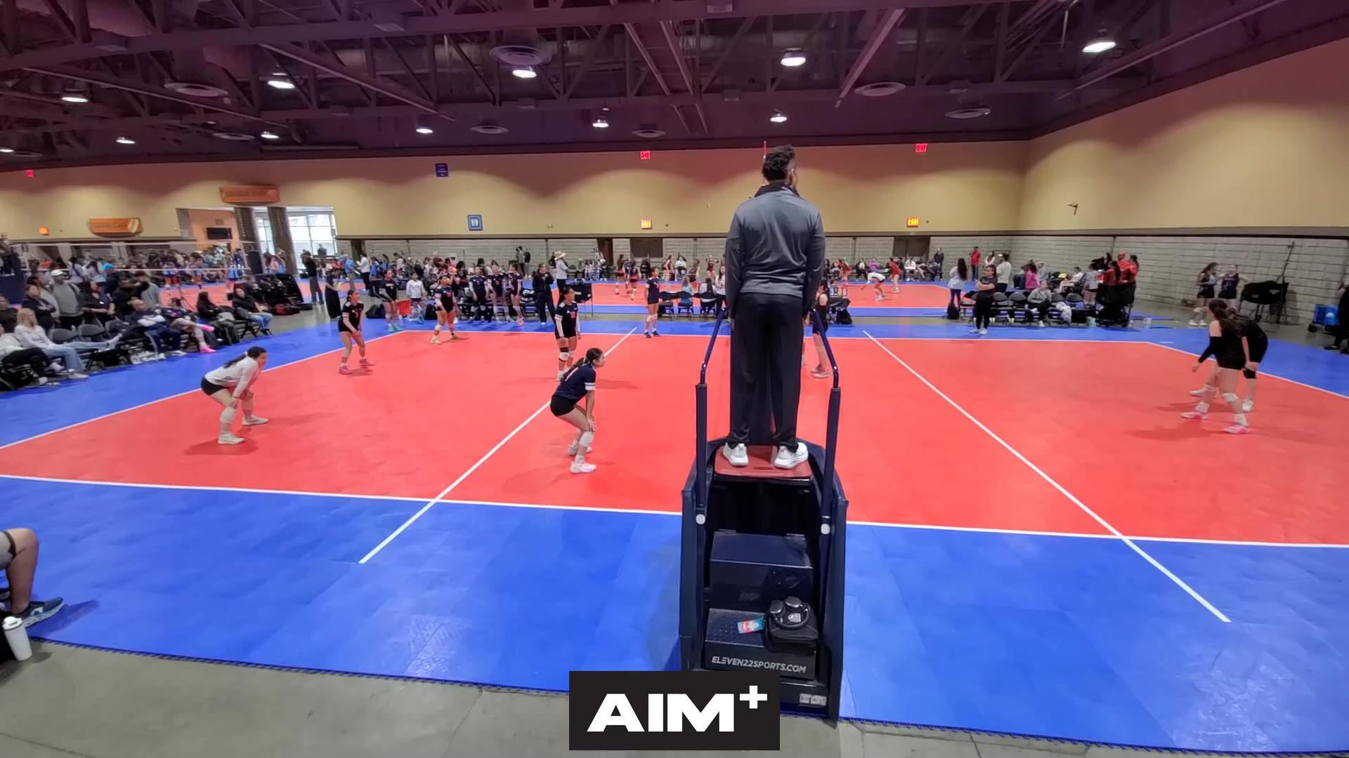 dig
