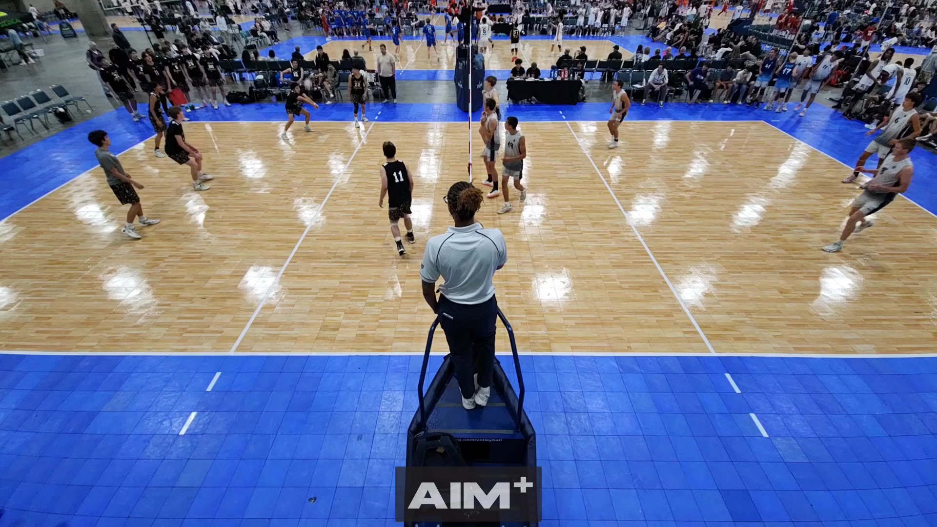 dig