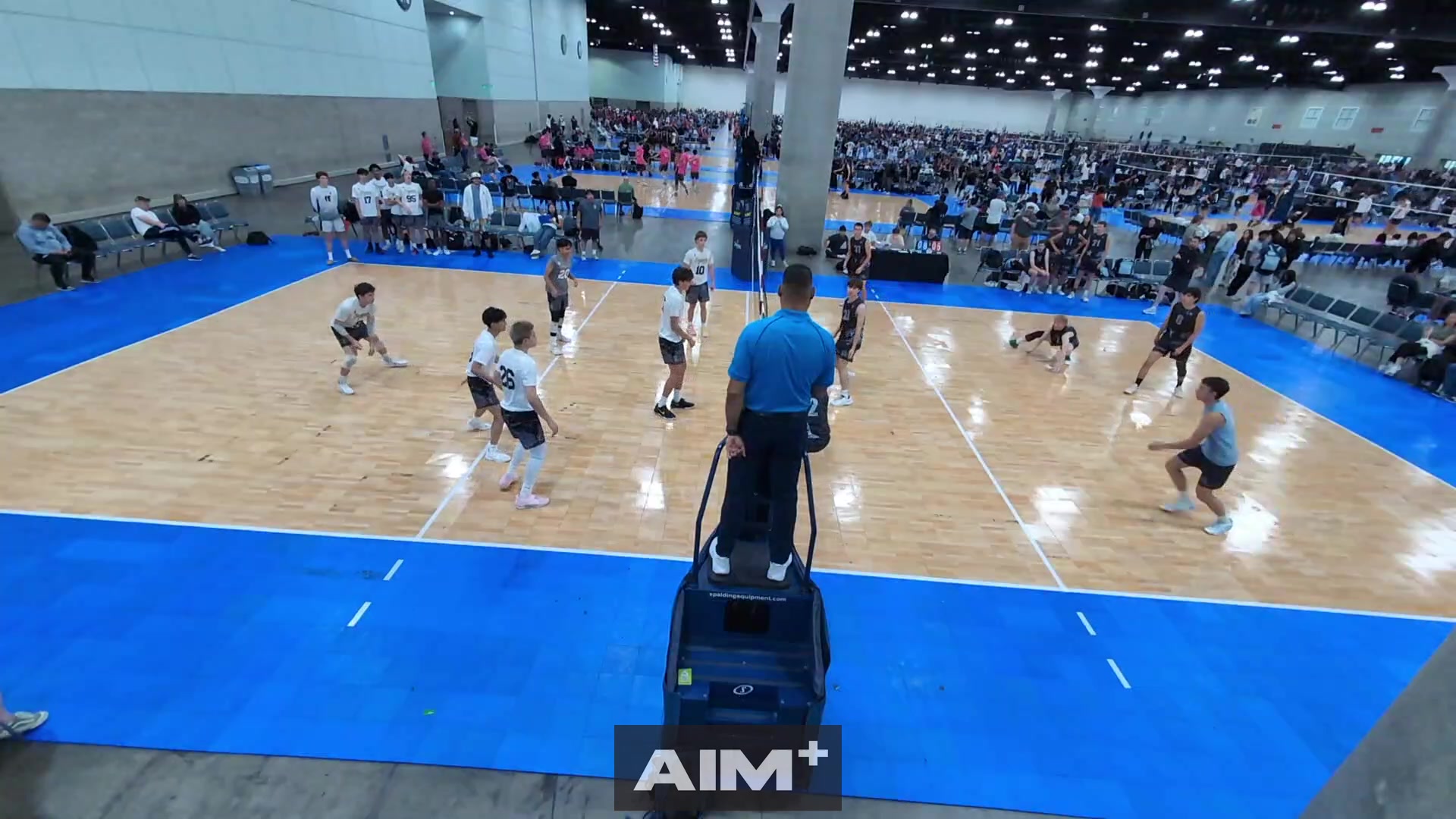 assist