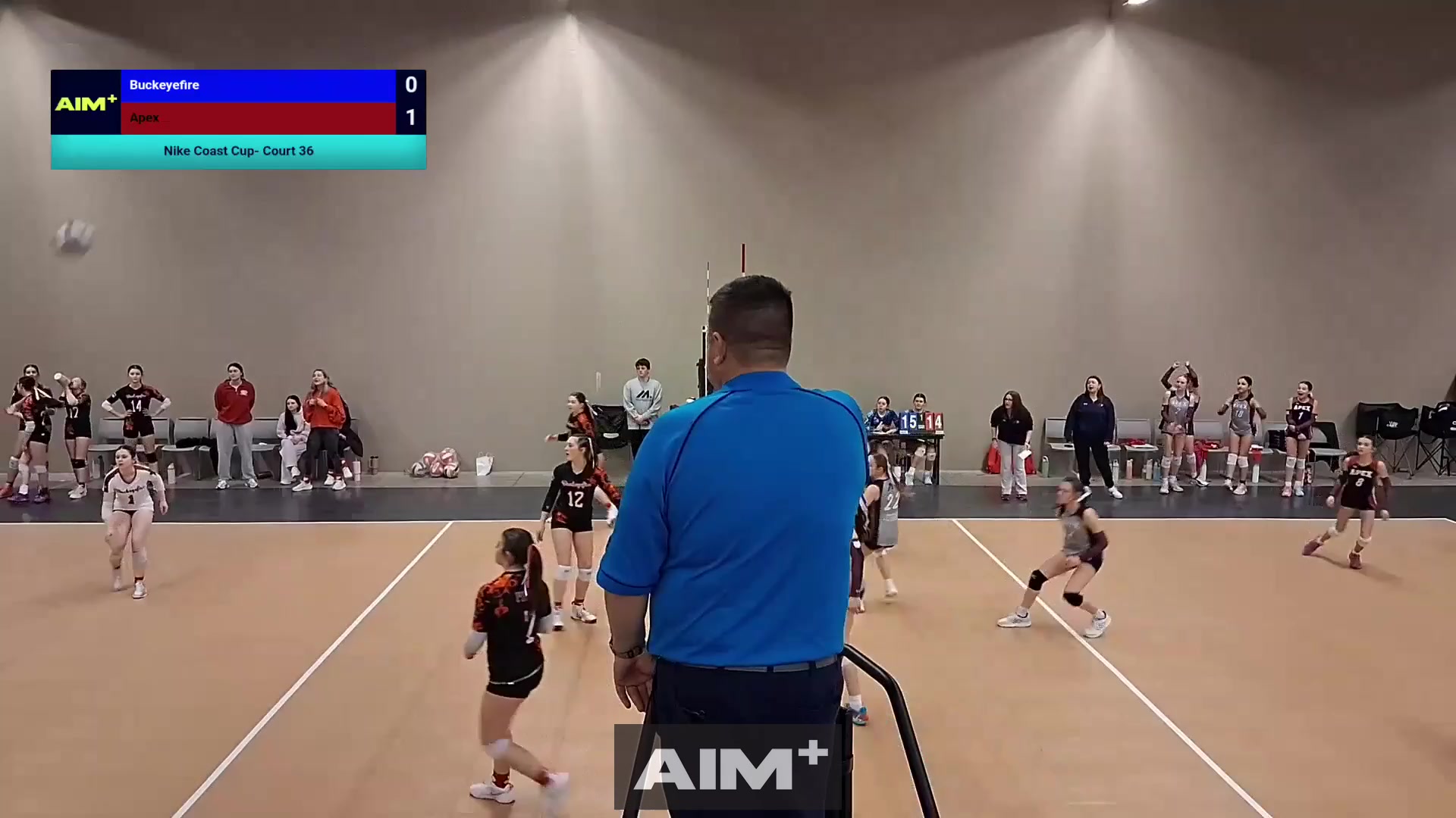 assist