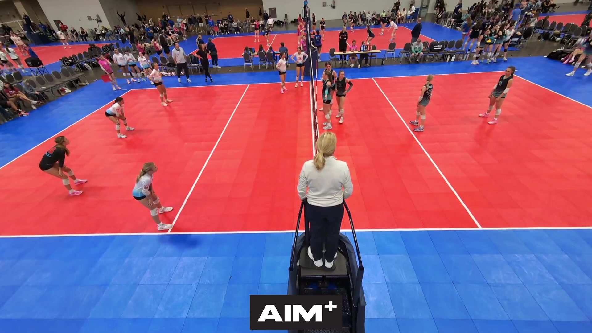 dig