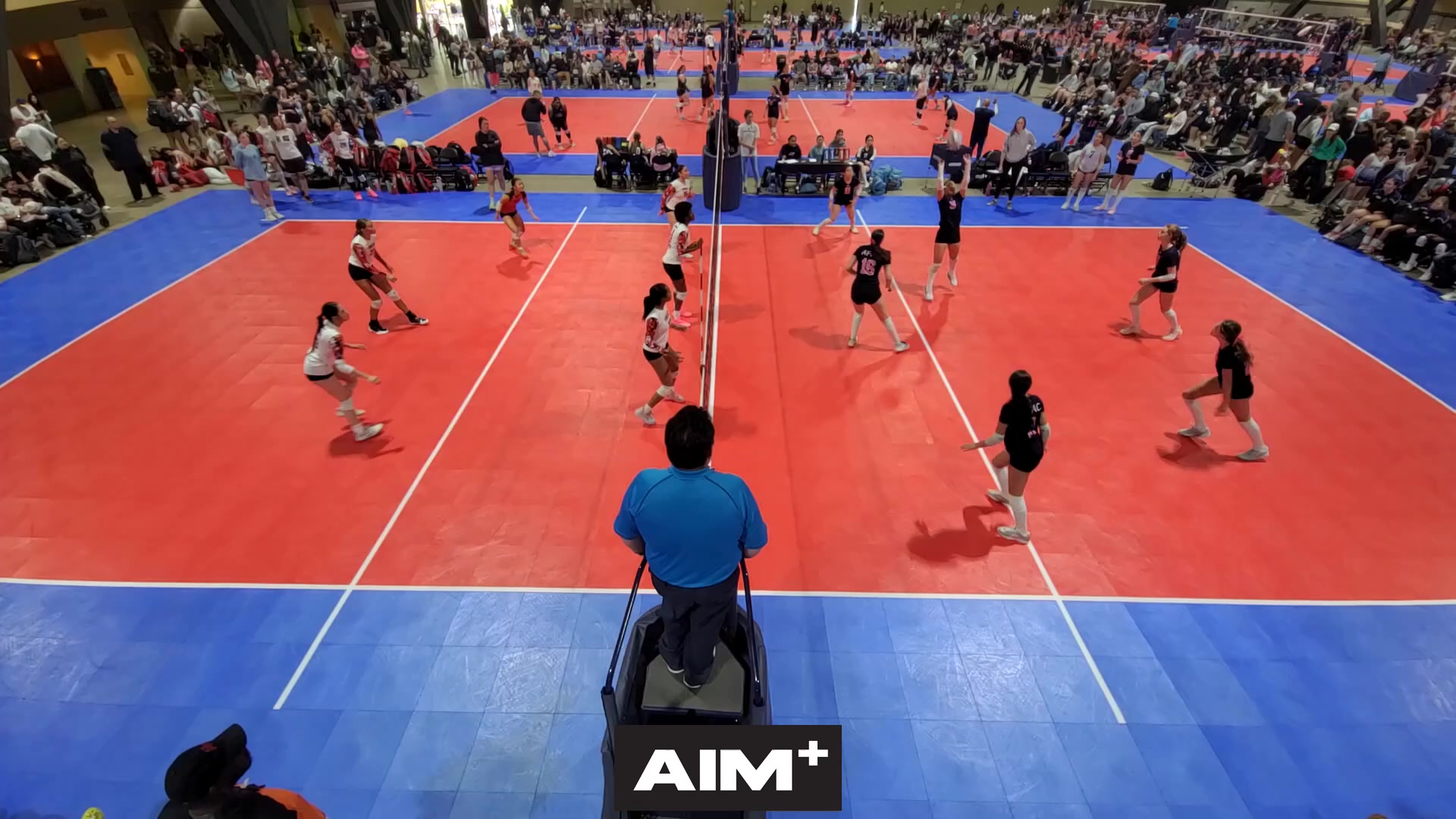 dig