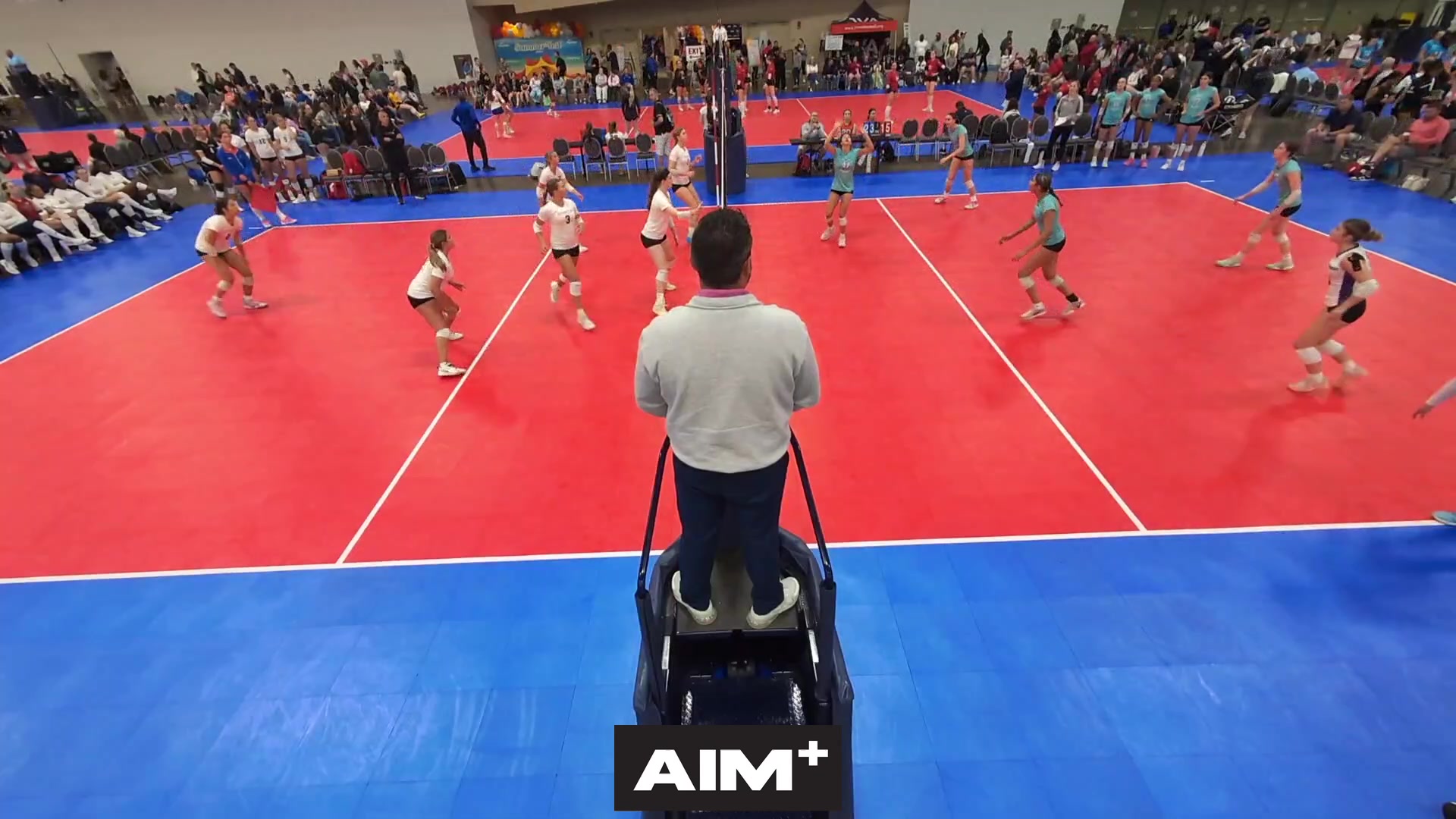 dig