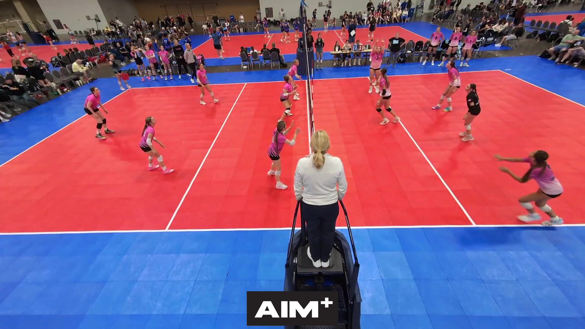 dig