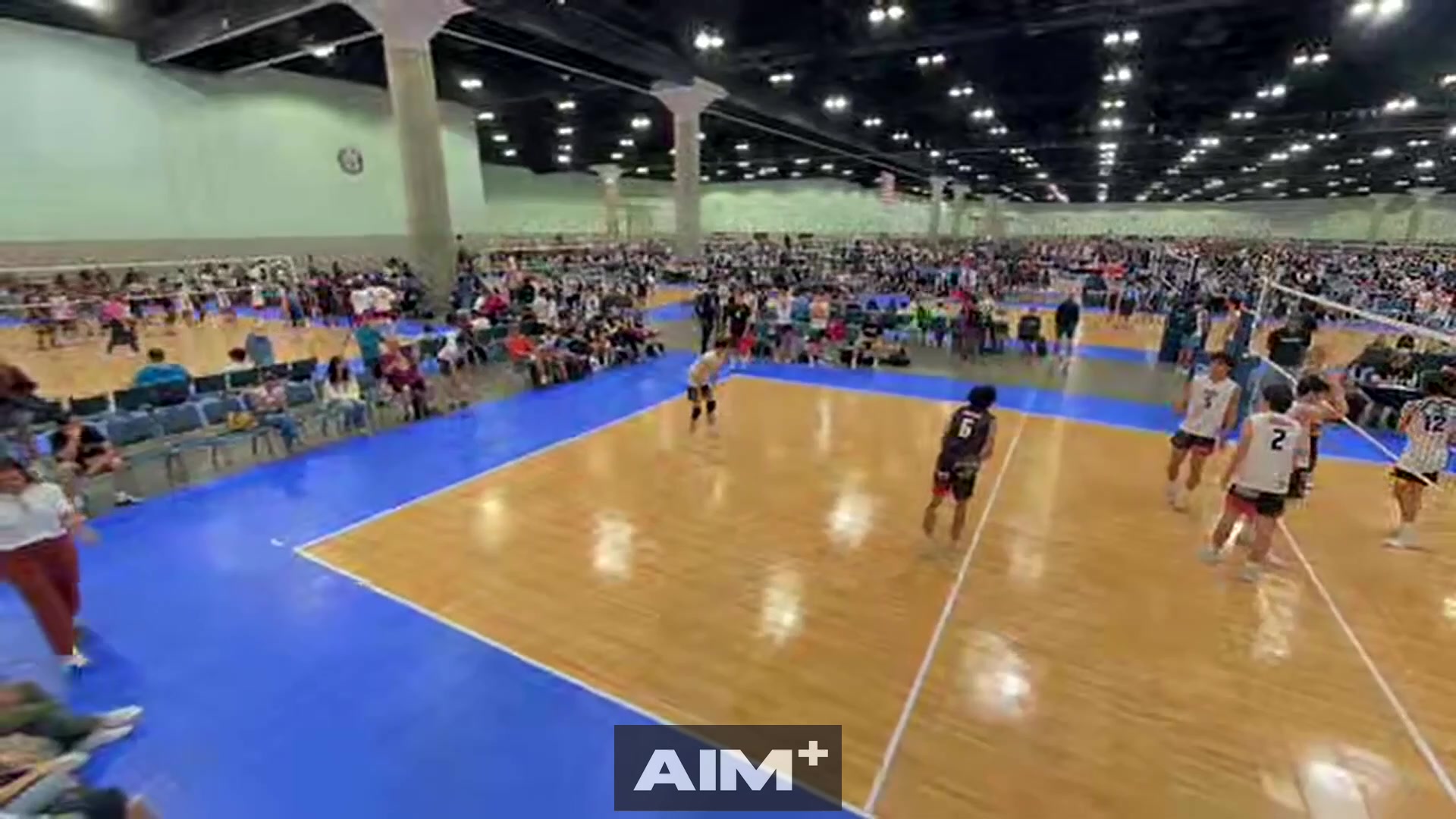 assist