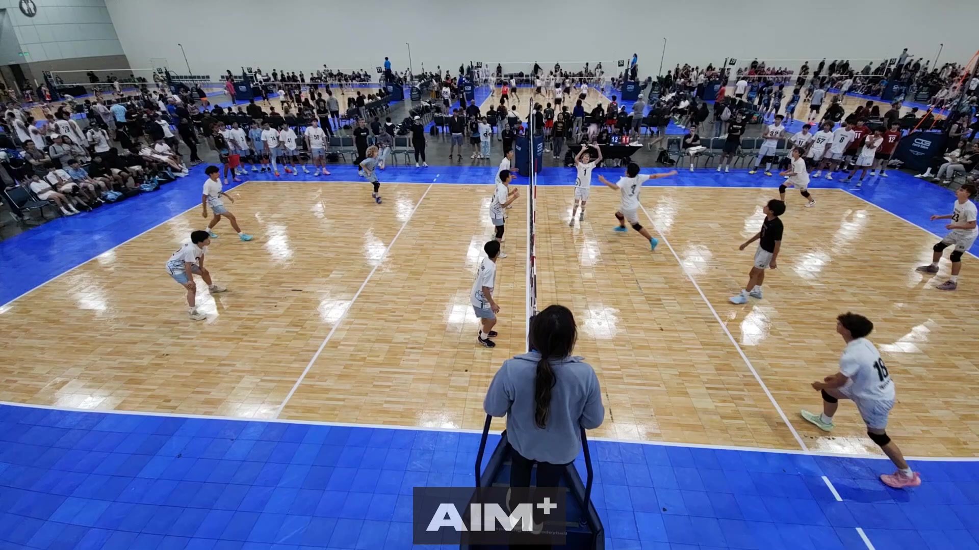 assist