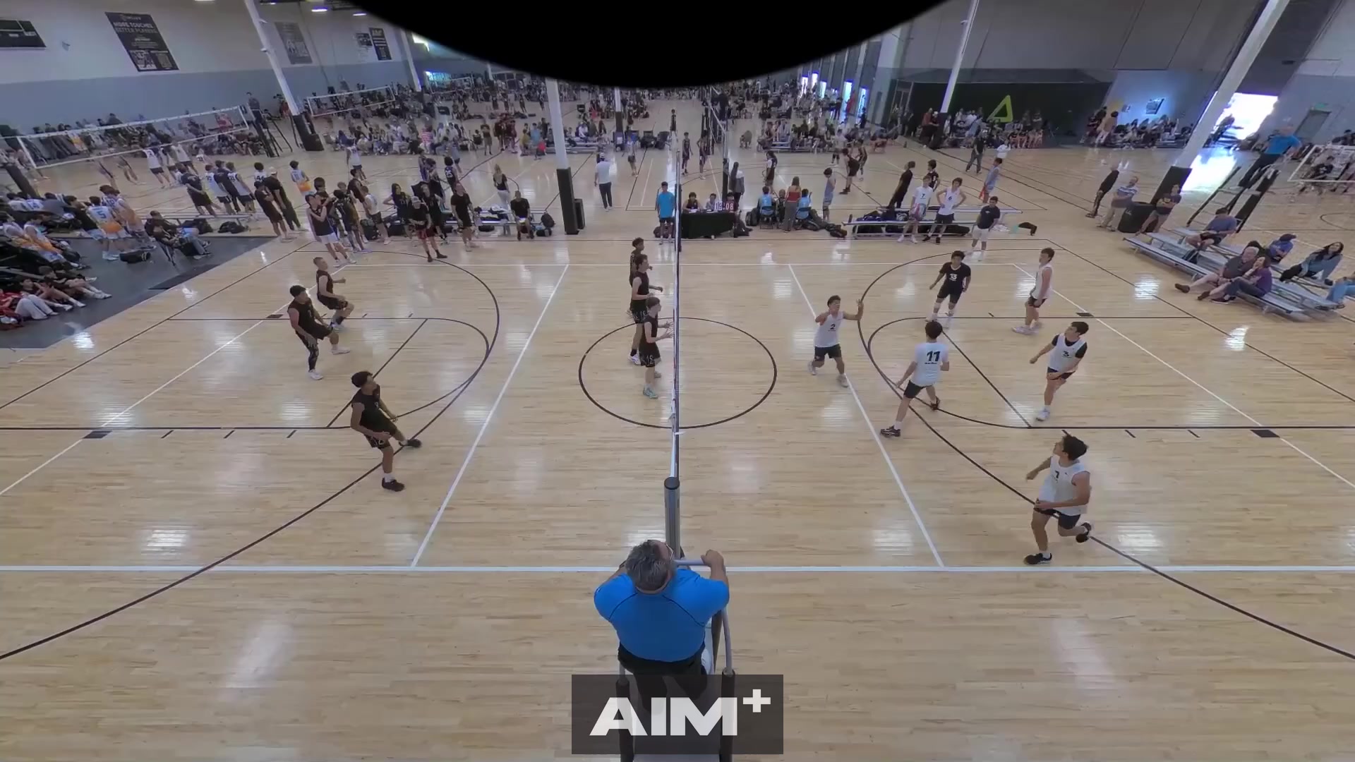 assist