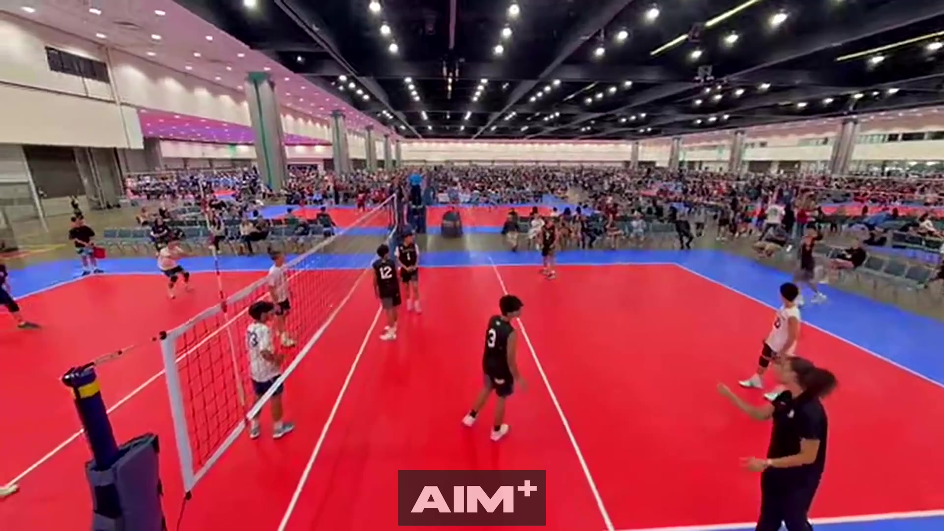 assist