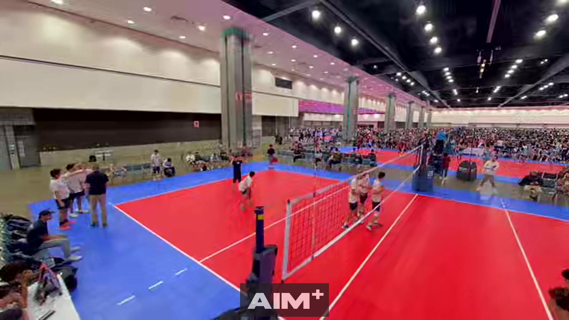 assist