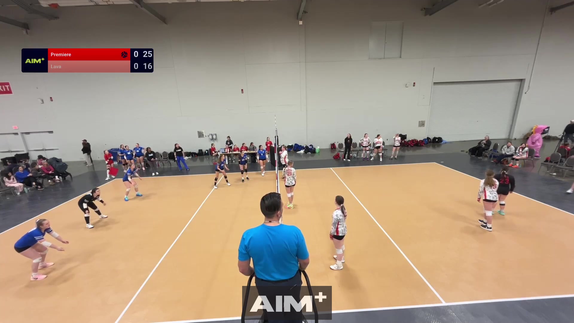 assist