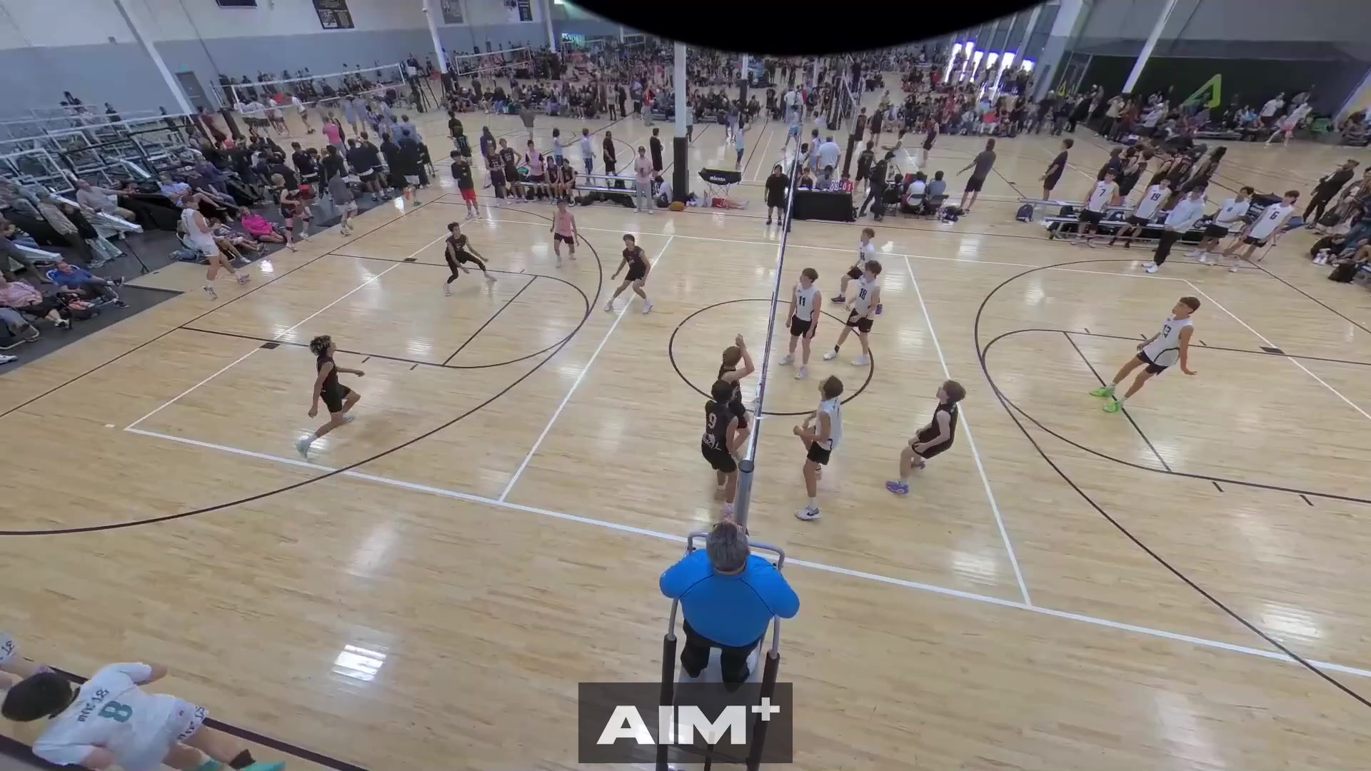 assist