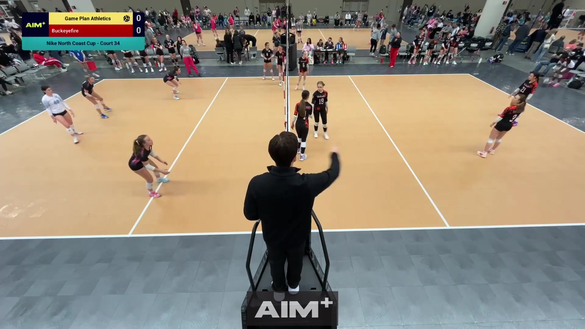 assist