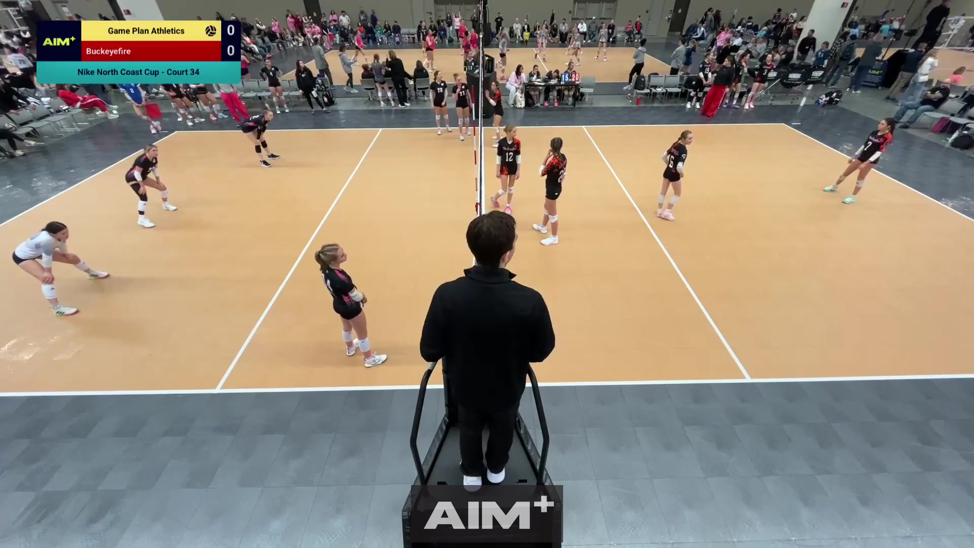 assist
