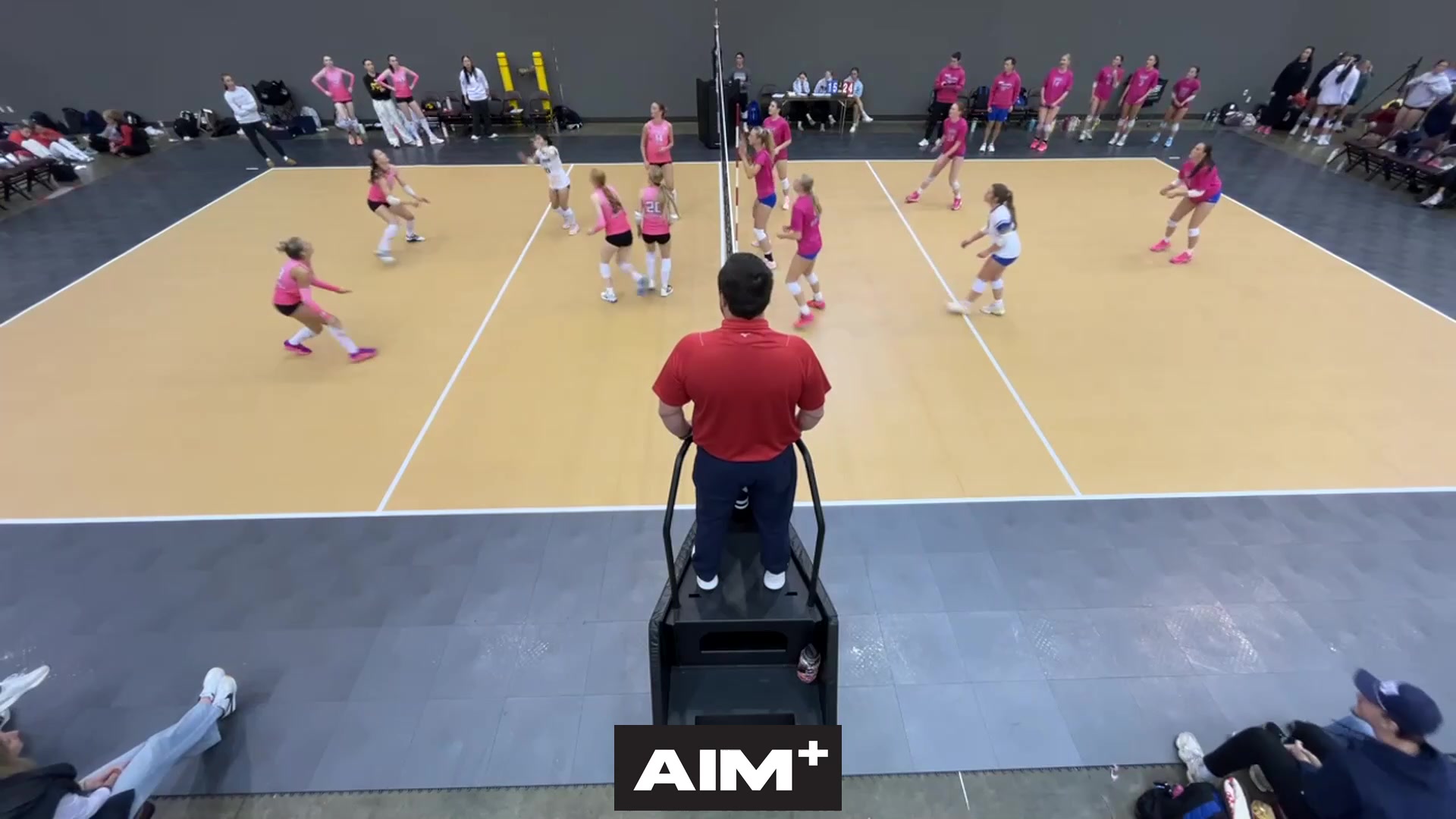 assist