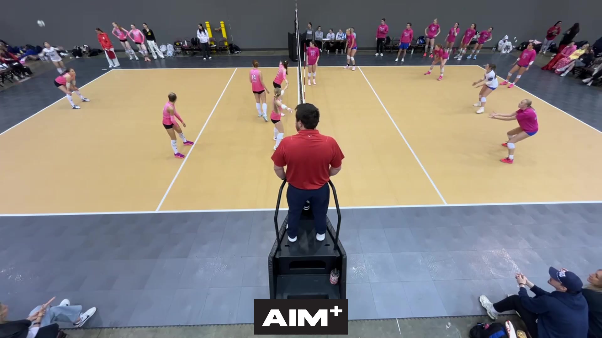 assist