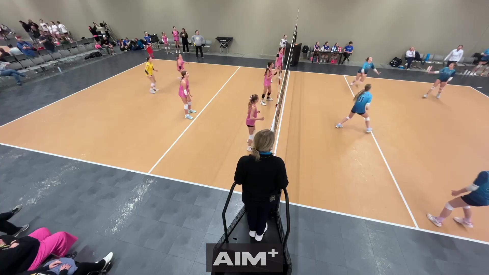 assist
