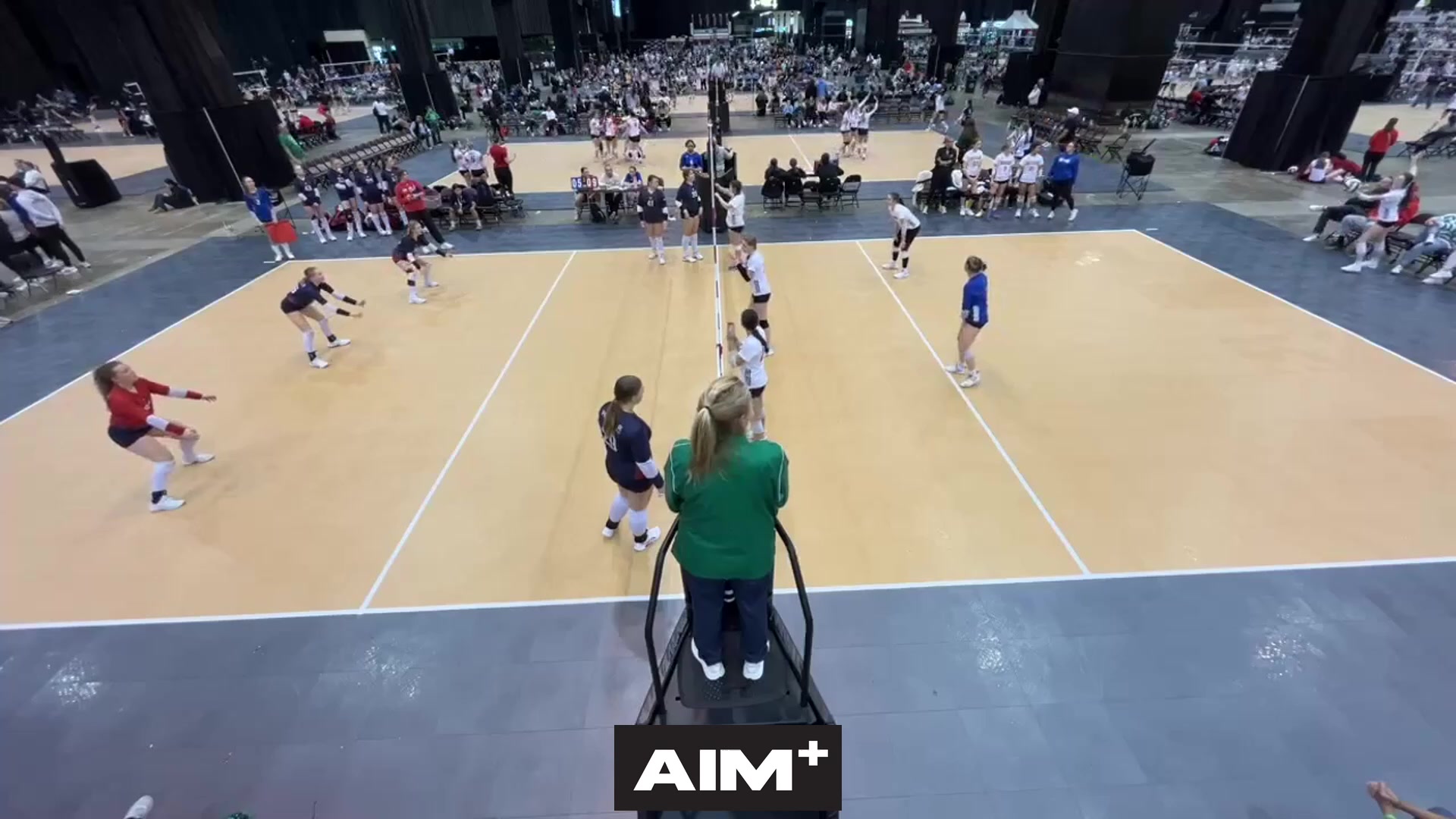 dig