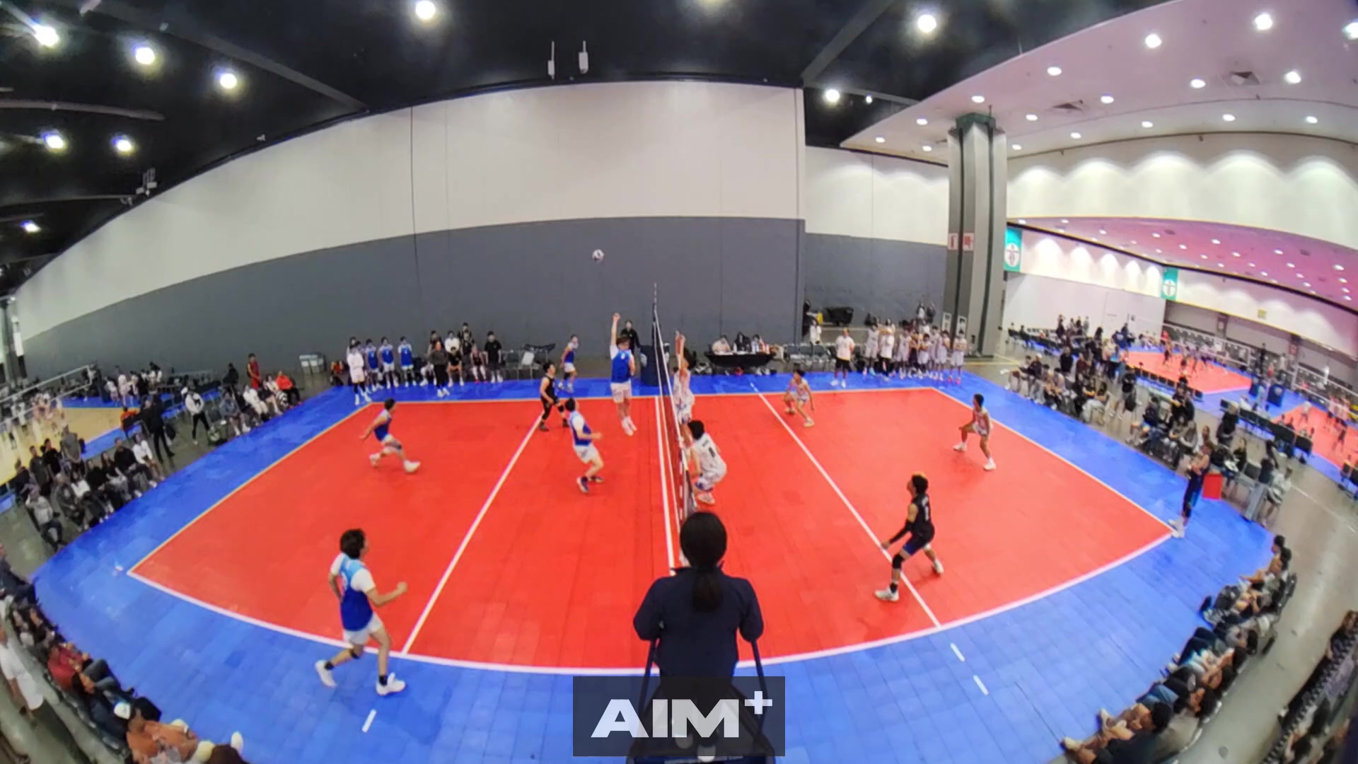 assist