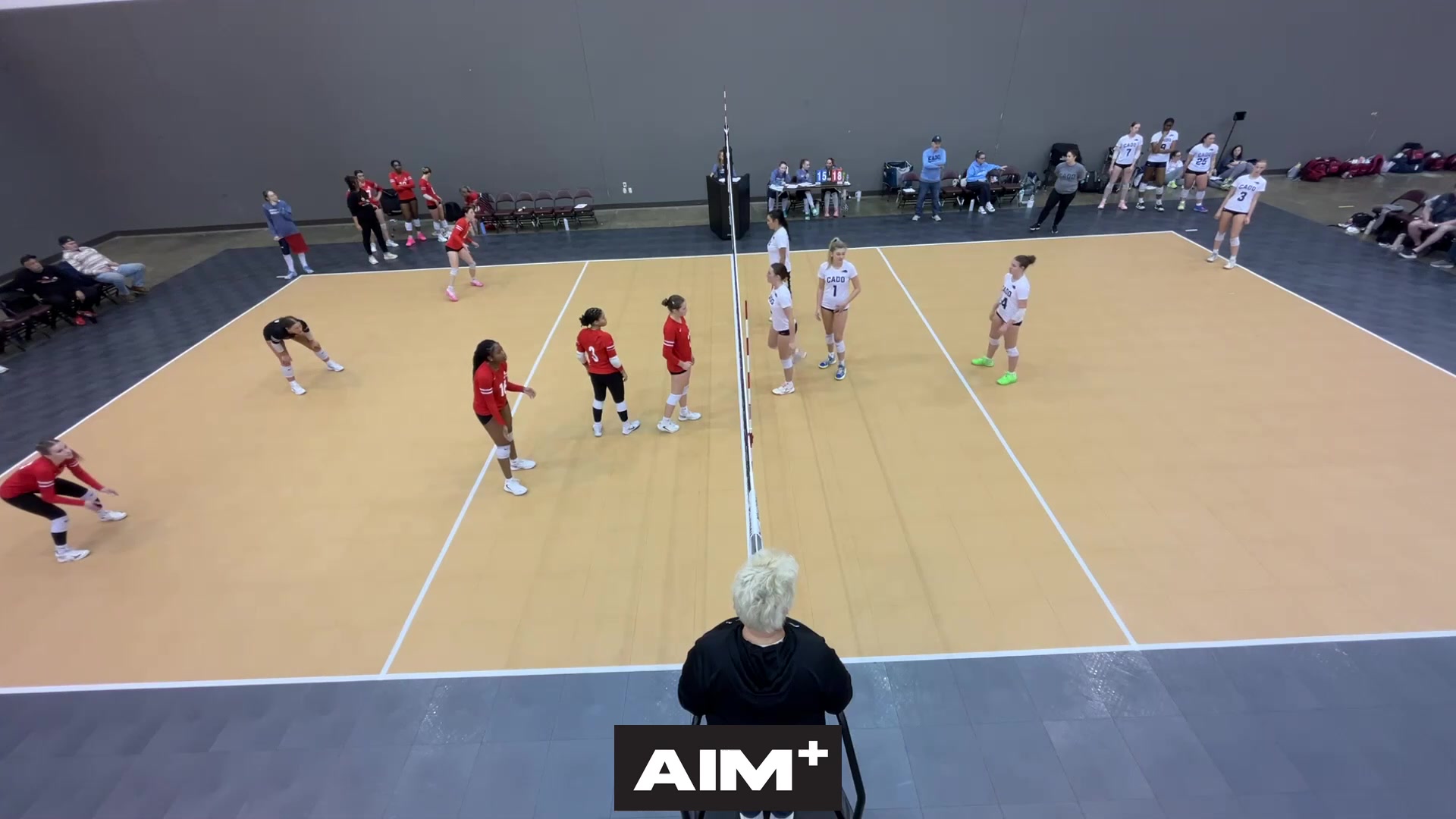 serve-ace