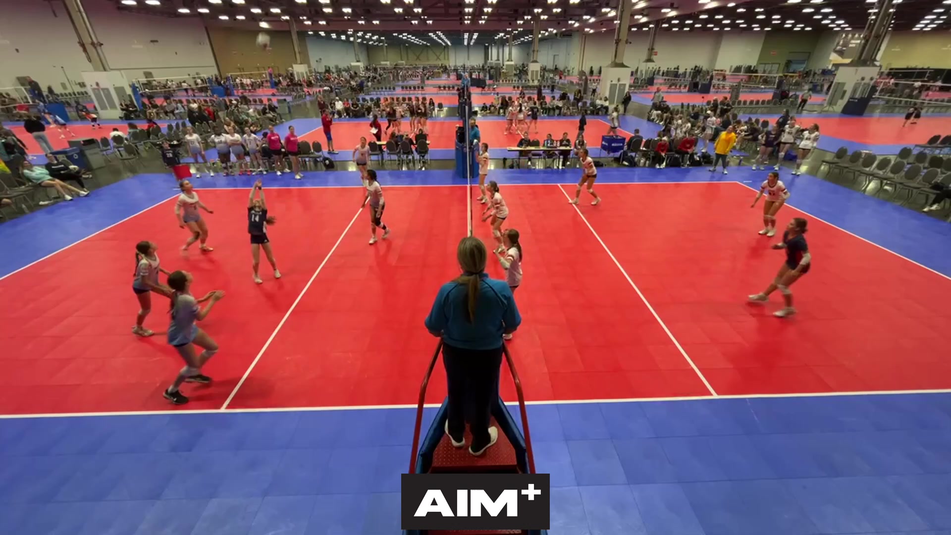 dig