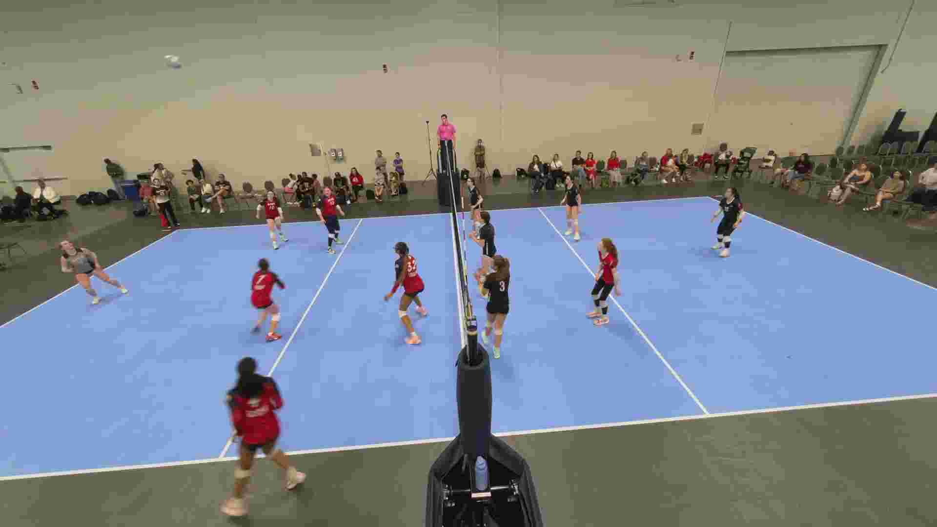 dig