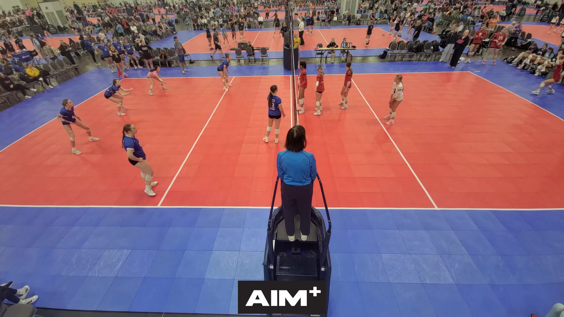 dig