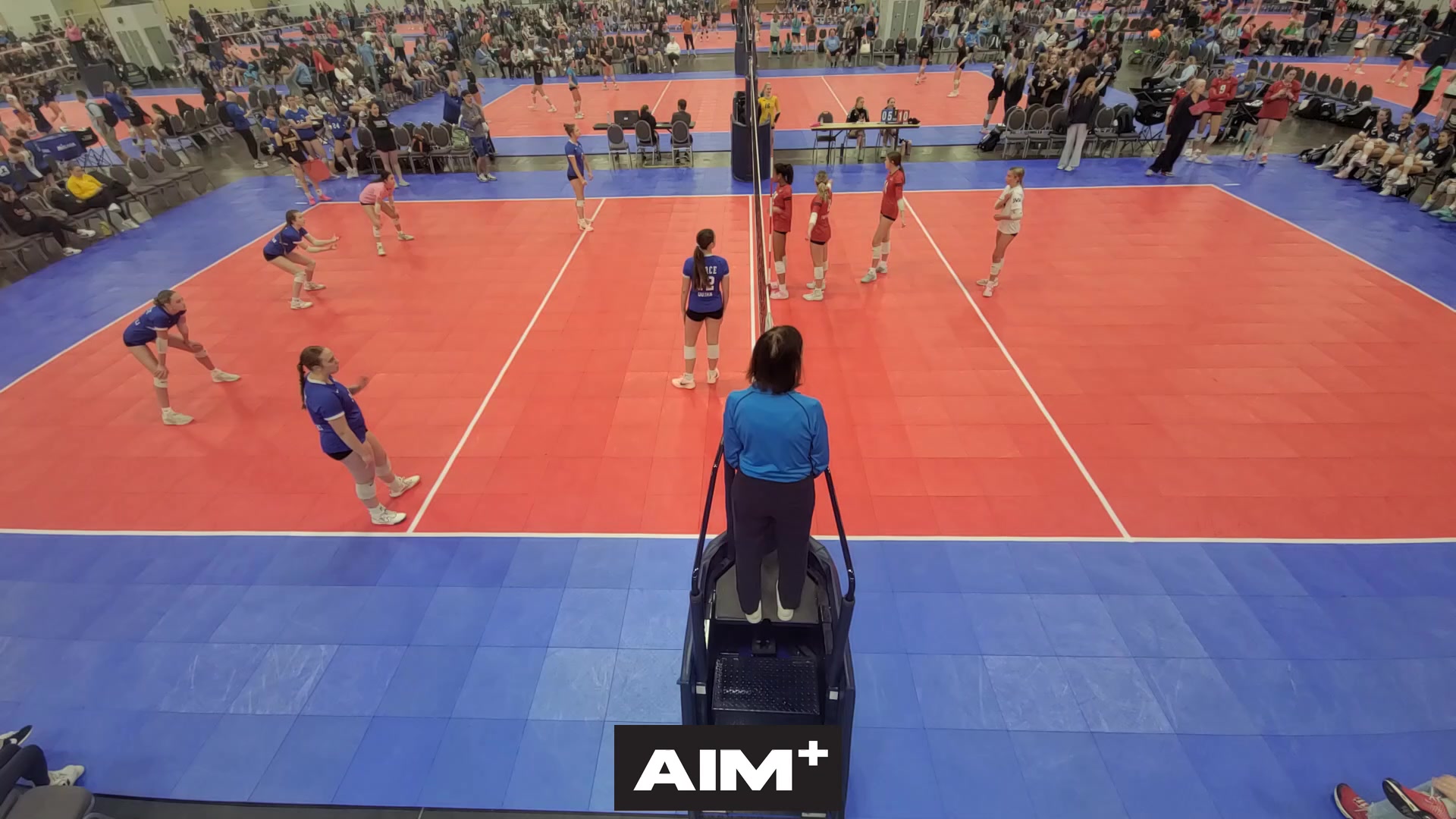 dig